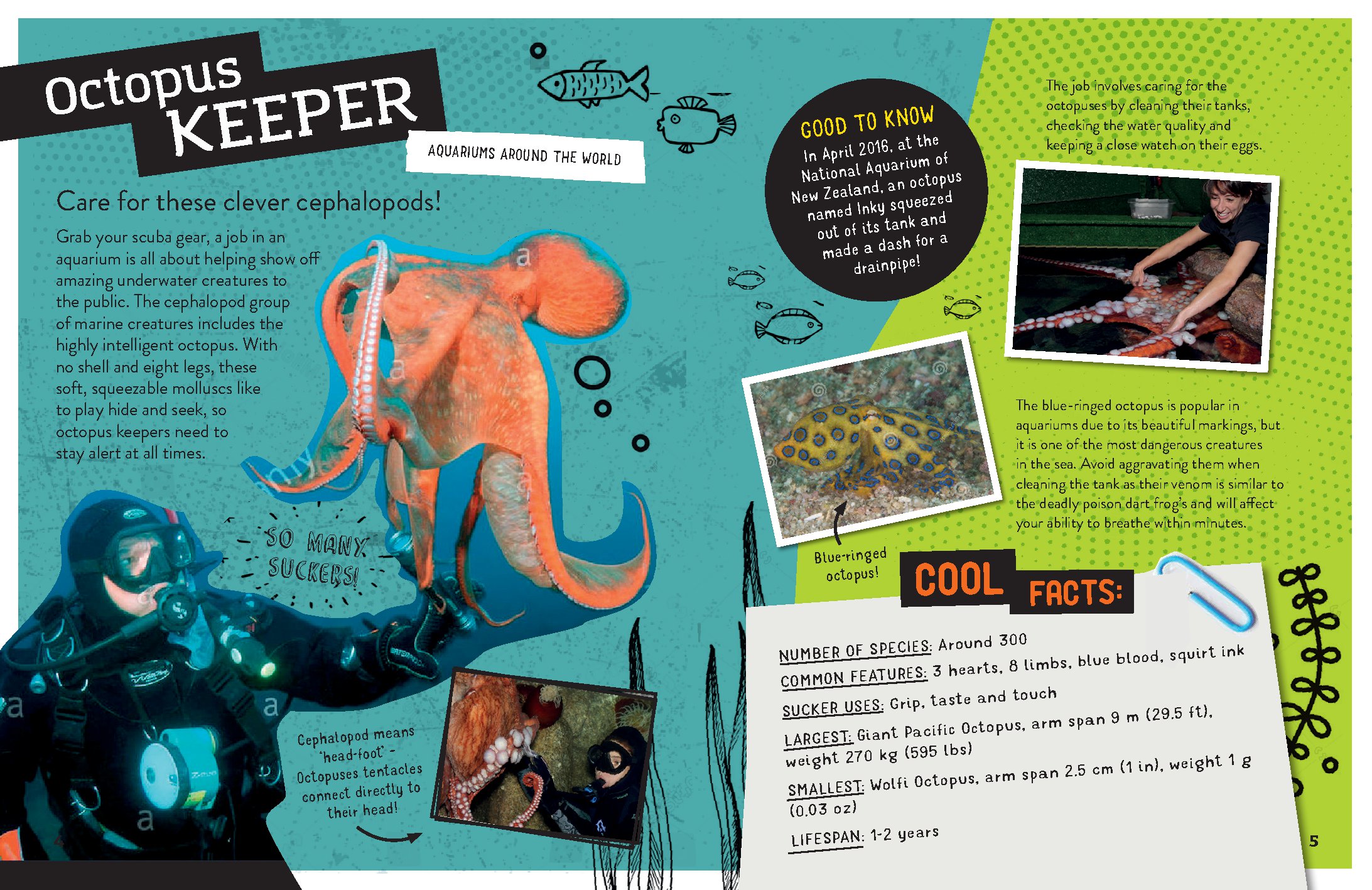 World's Coolest Jobs