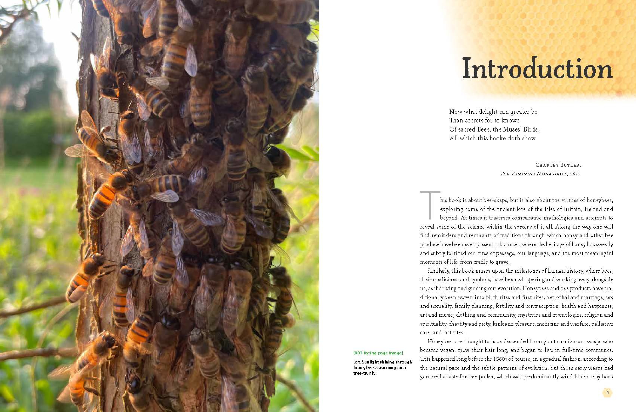 Bee-Skep Making