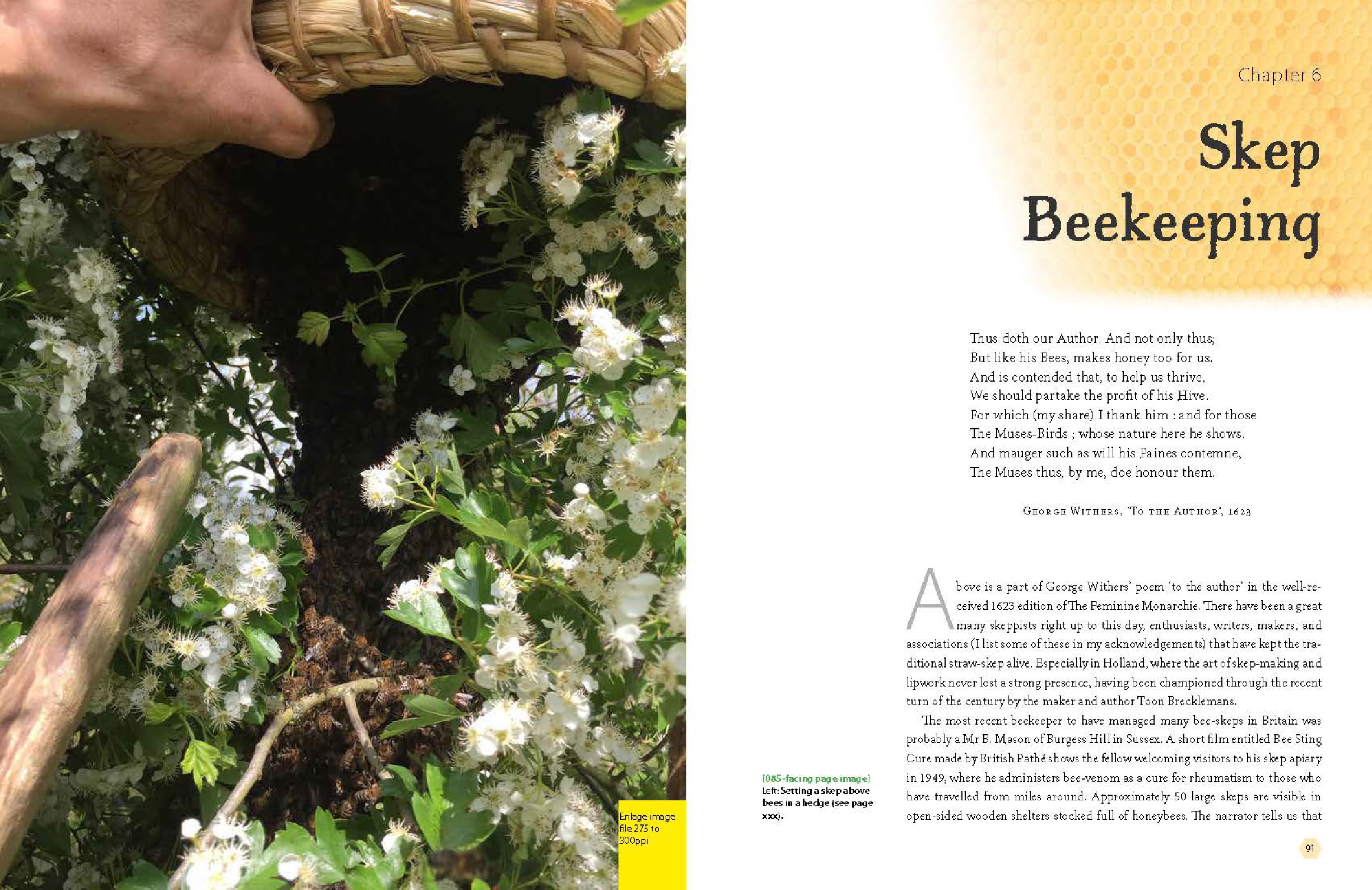 Bee-Skep Making