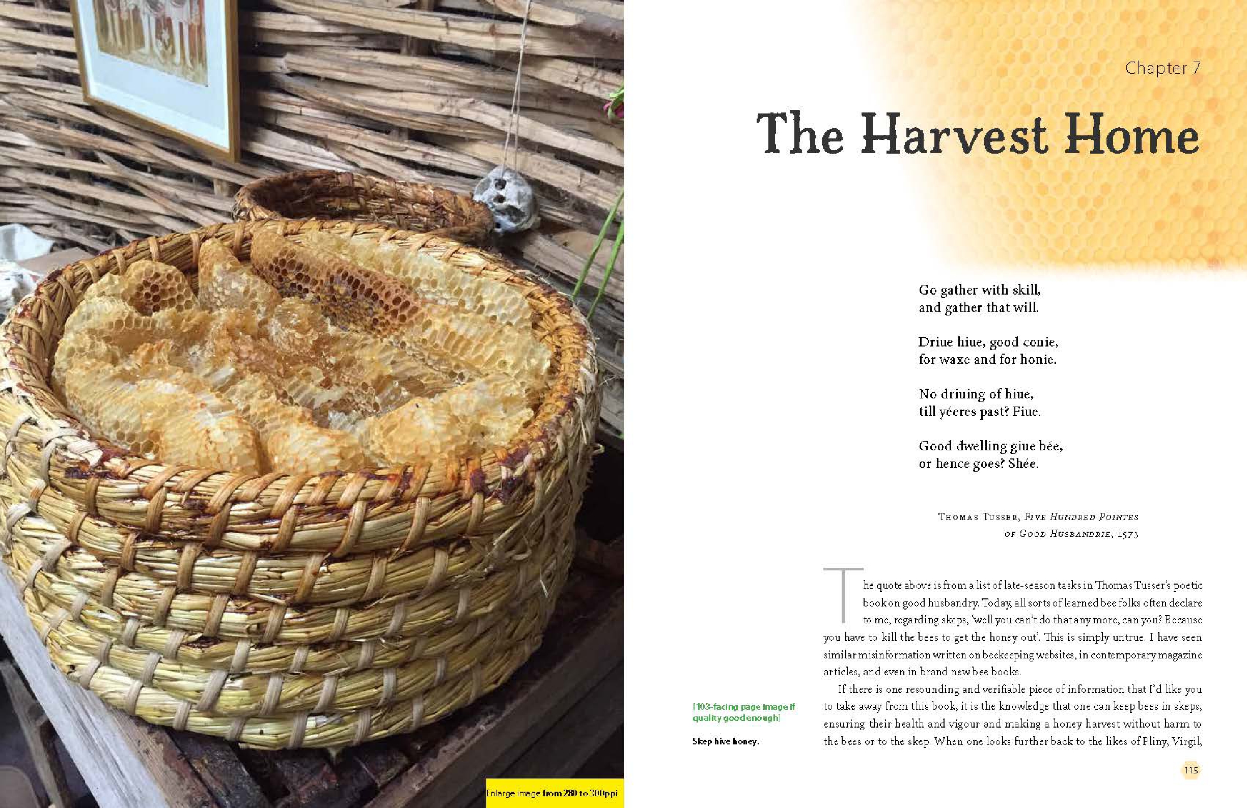 Bee-Skep Making