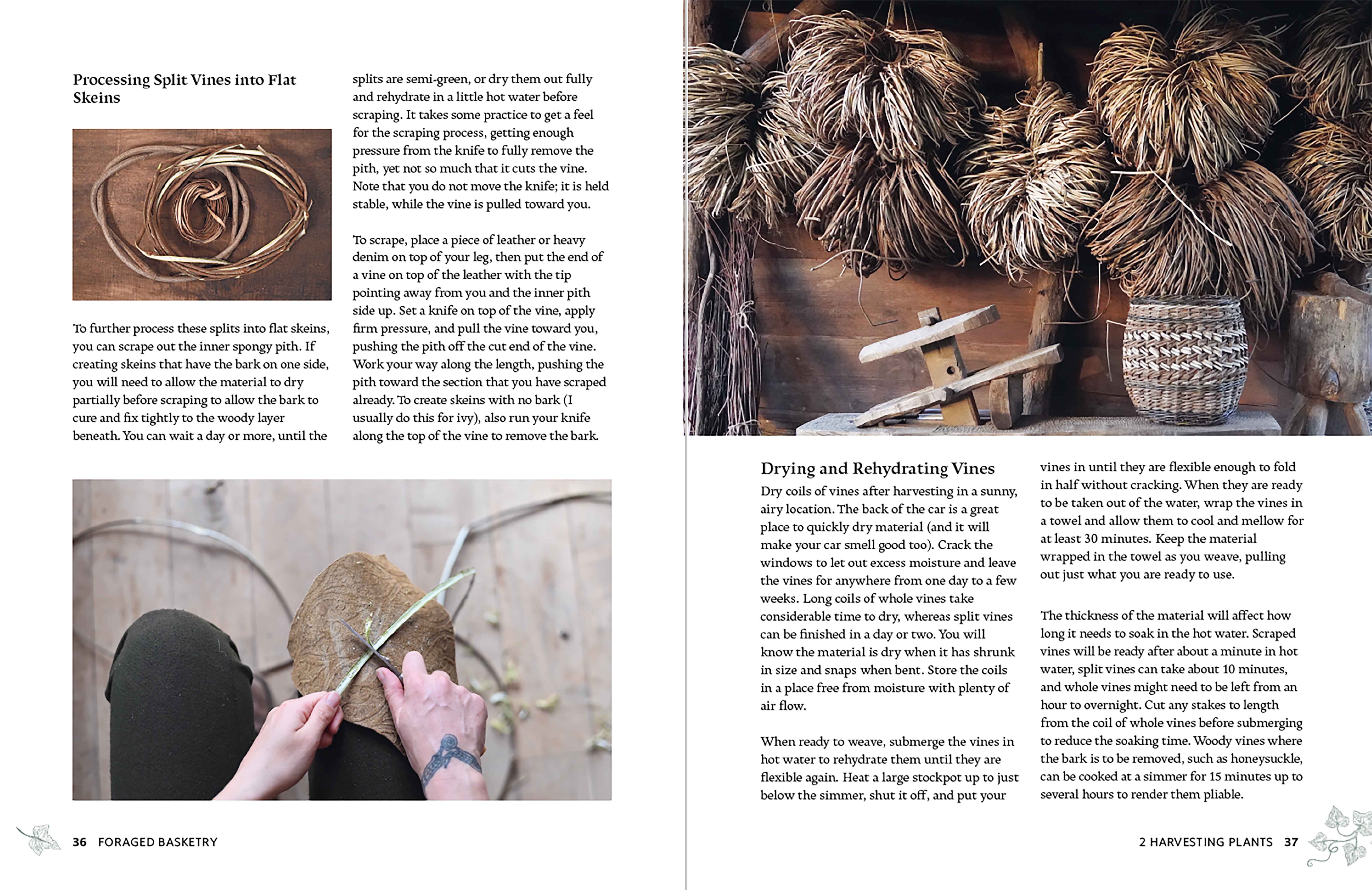 Foraged Basketry