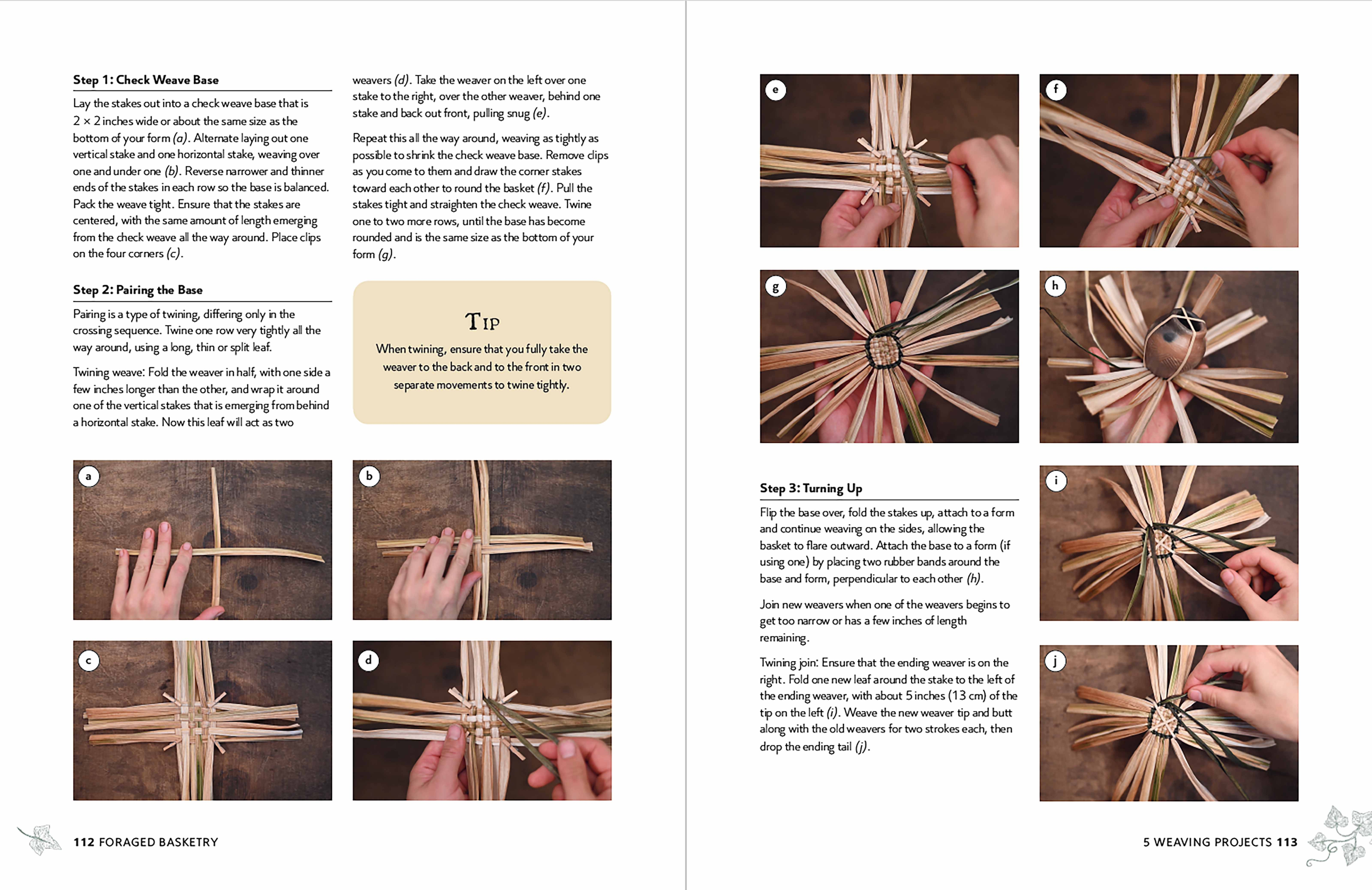 Foraged Basketry