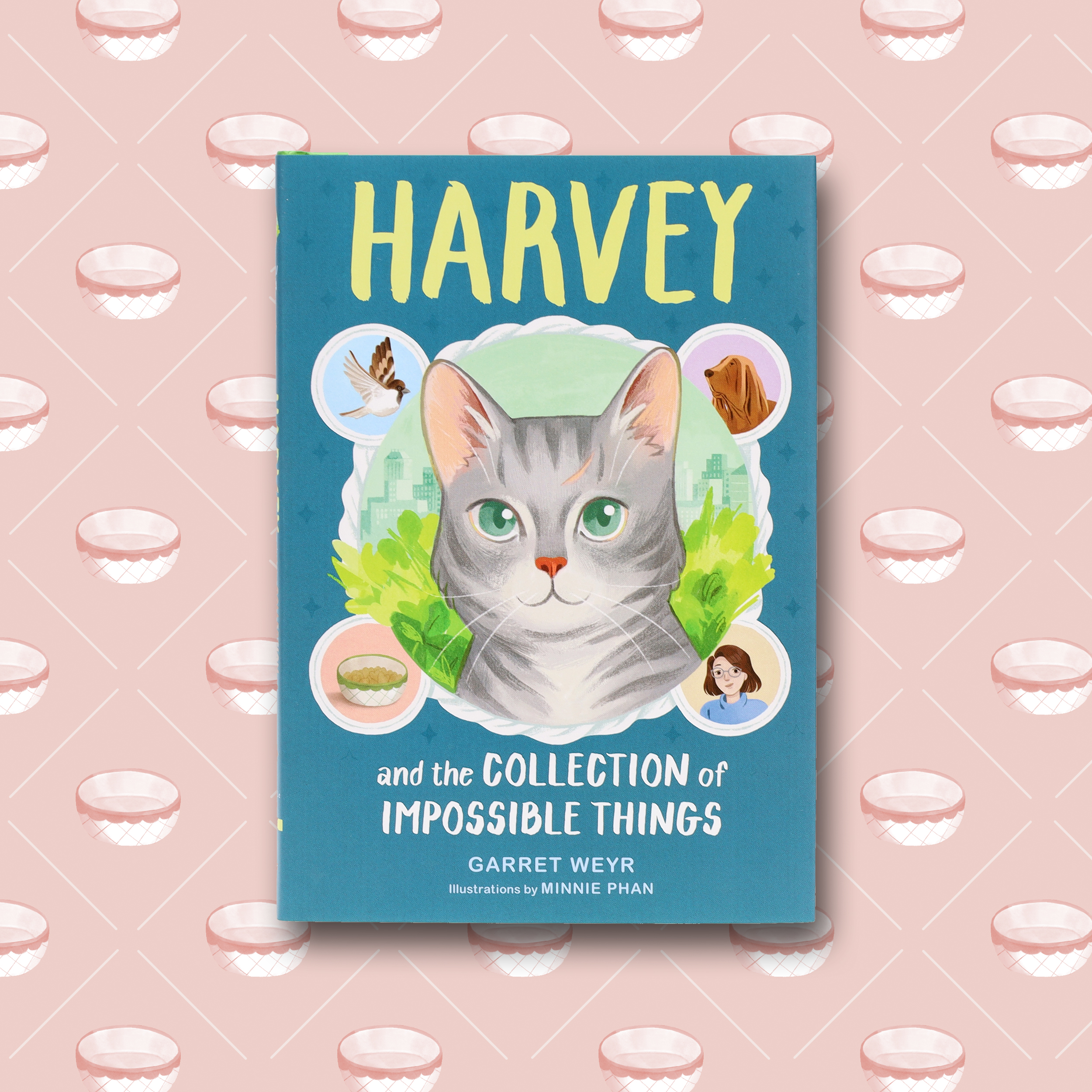 Harvey and the Collection of Impossible Things