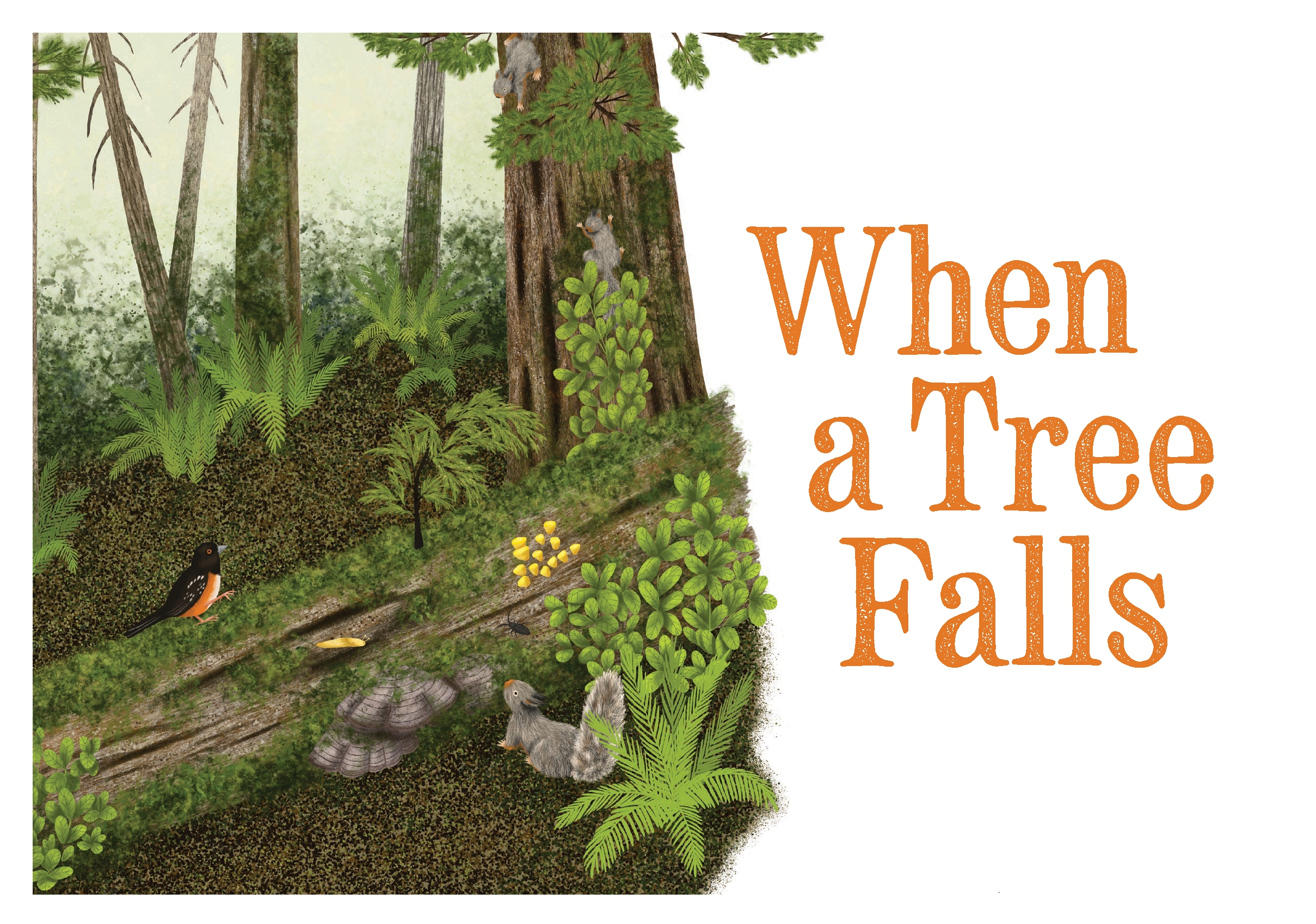When a Tree Falls