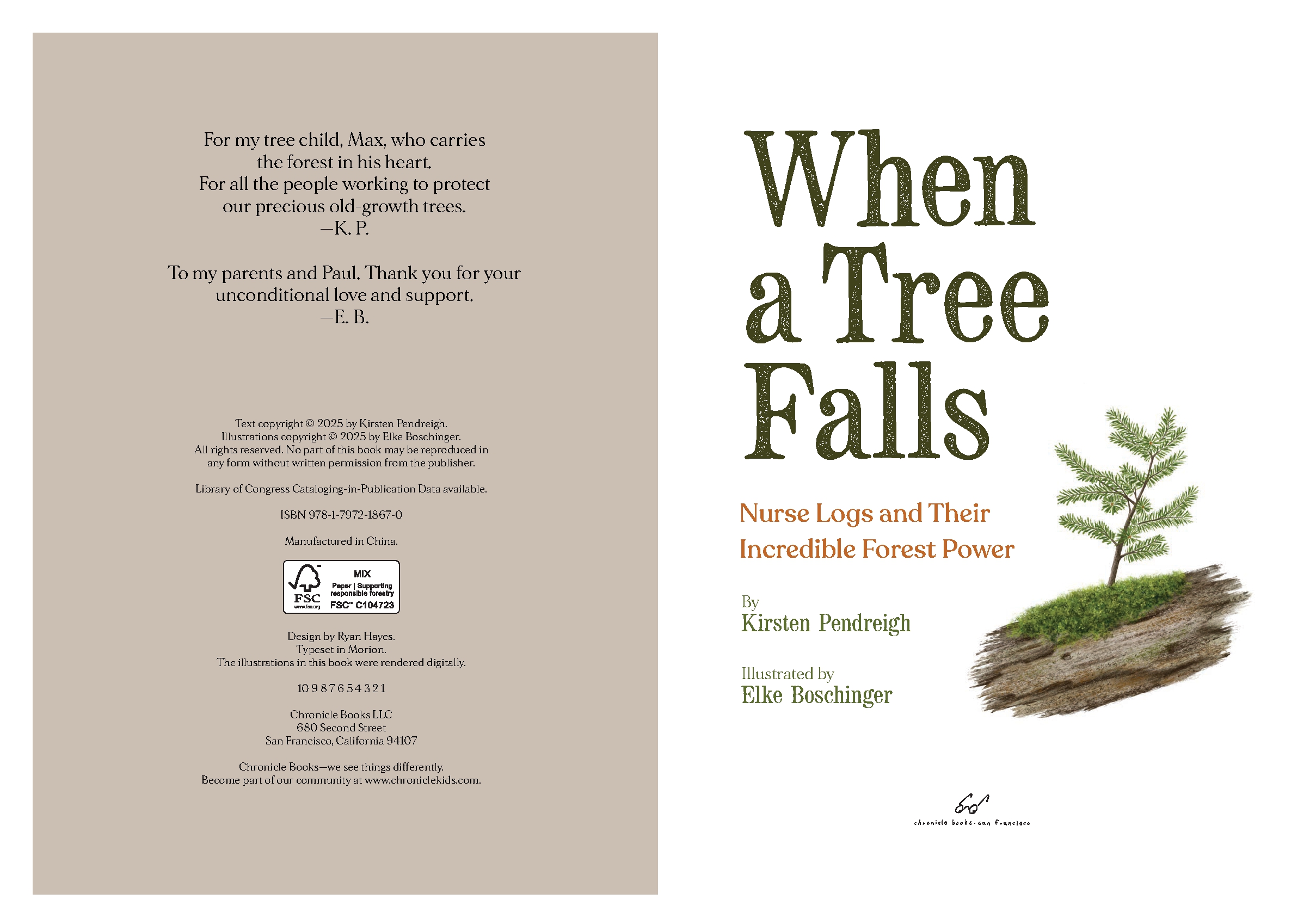 When a Tree Falls