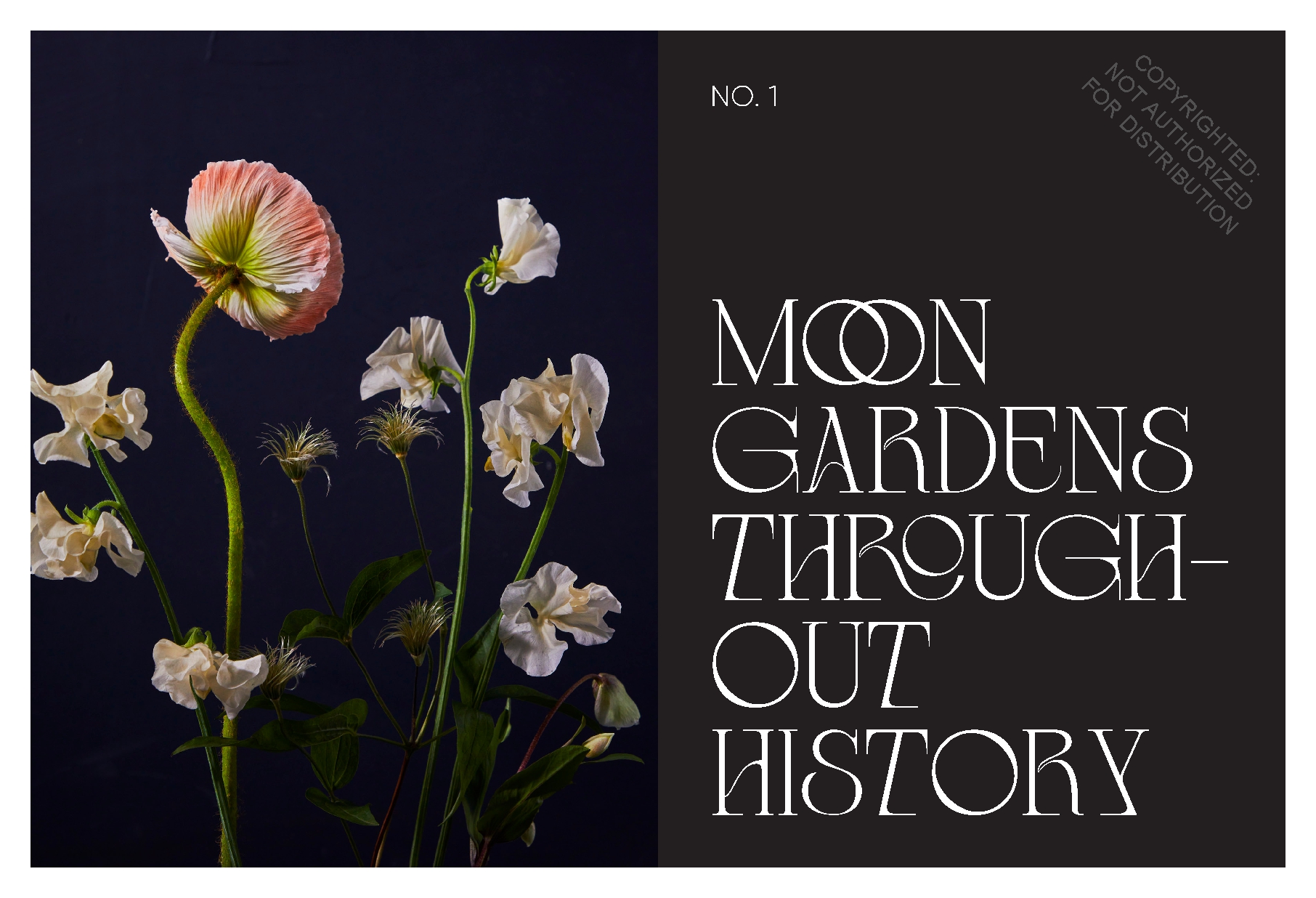 Moon Garden