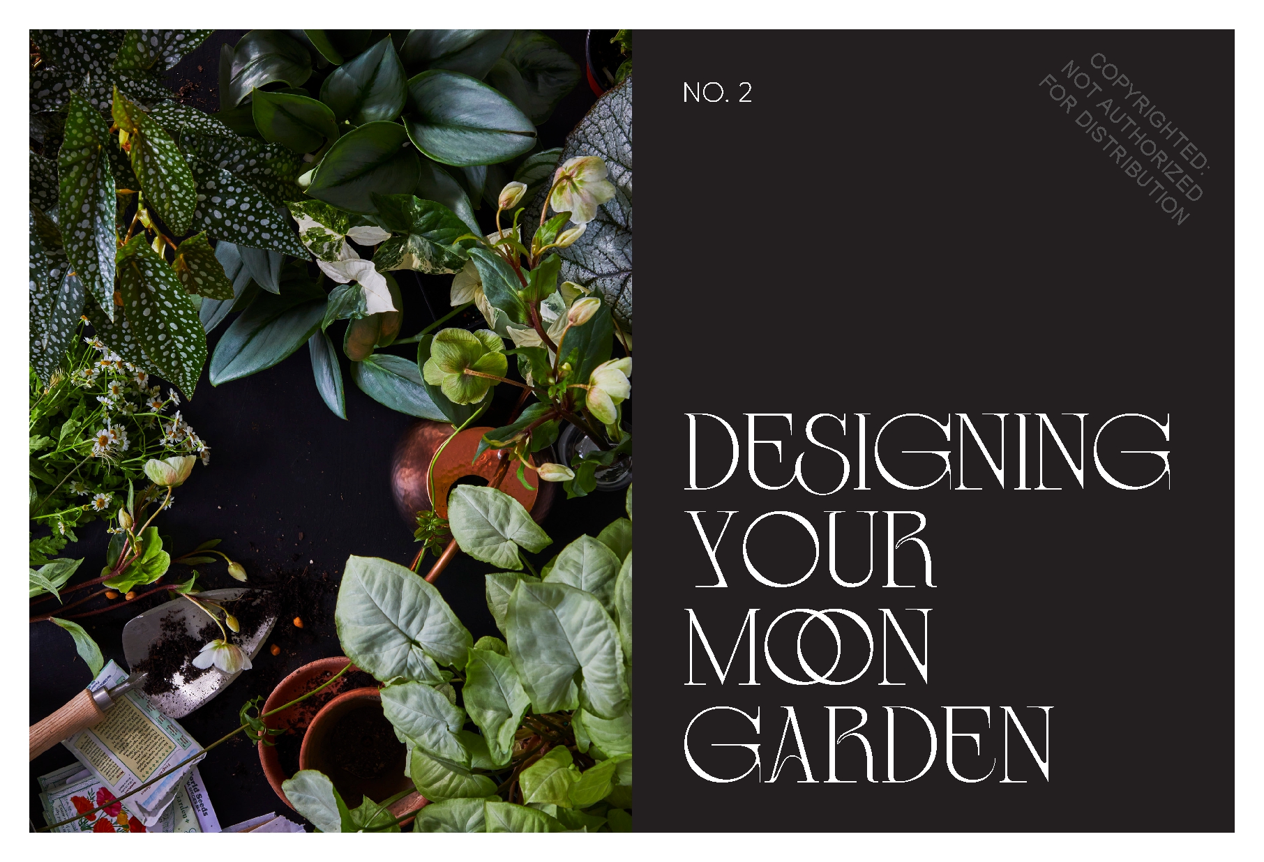 Moon Garden