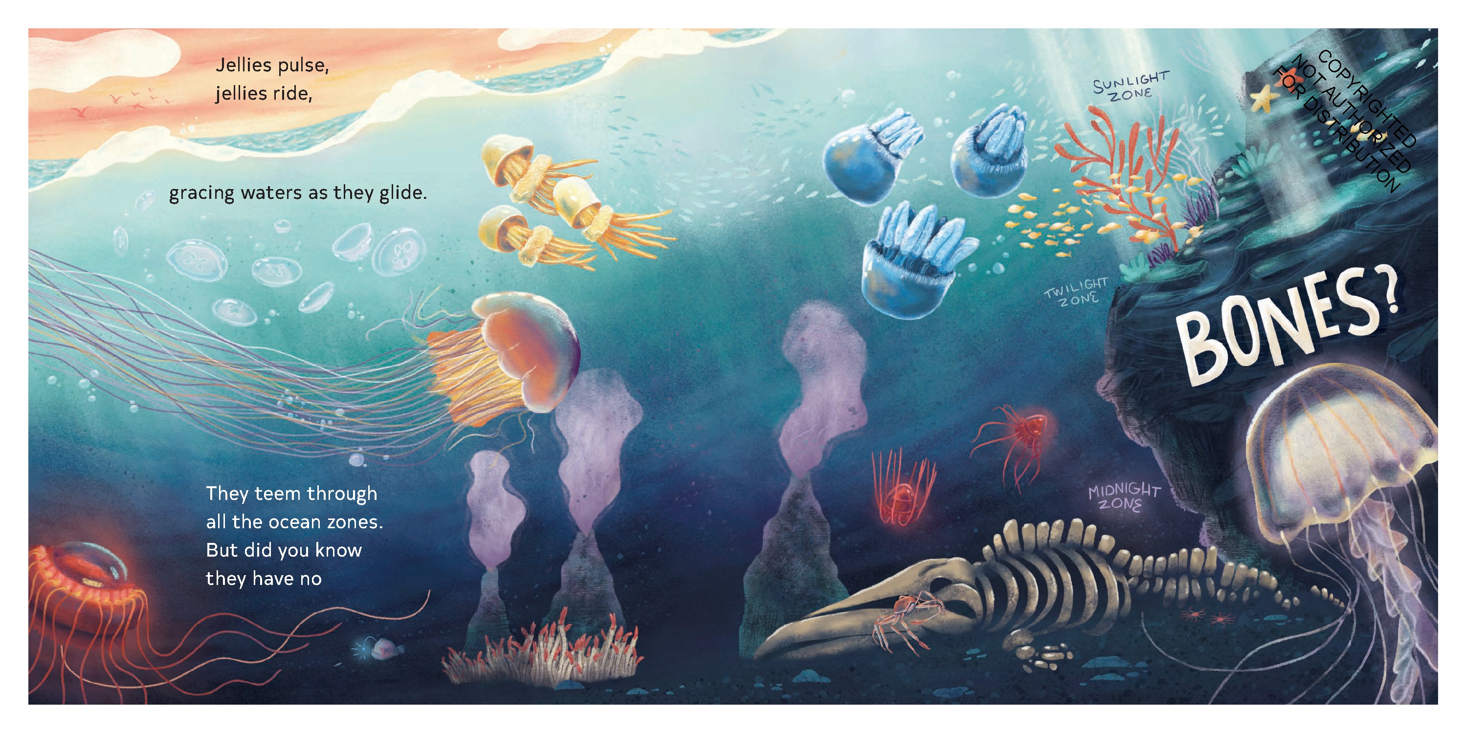 Secrets of the Jellies