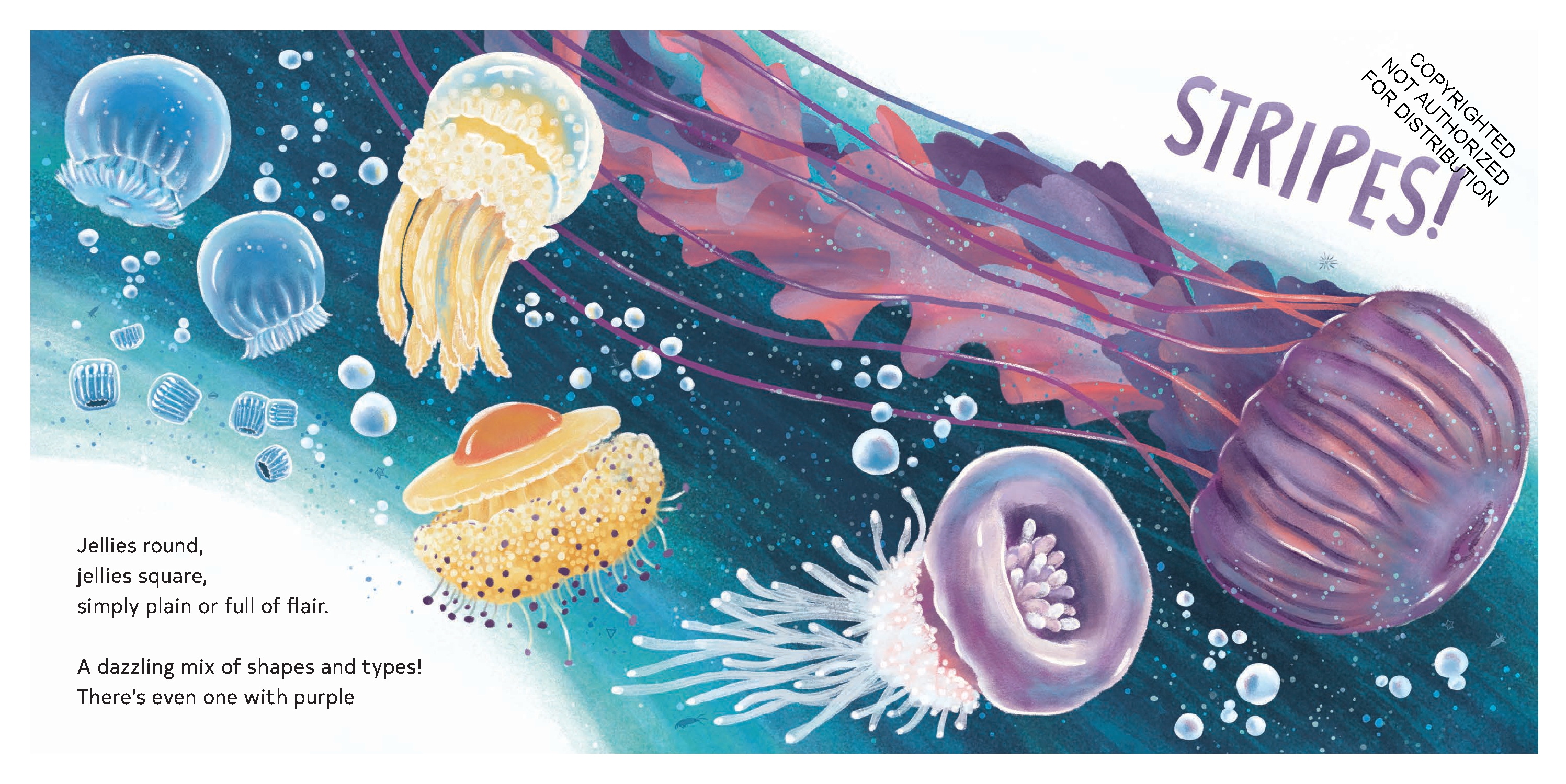 Secrets of the Jellies