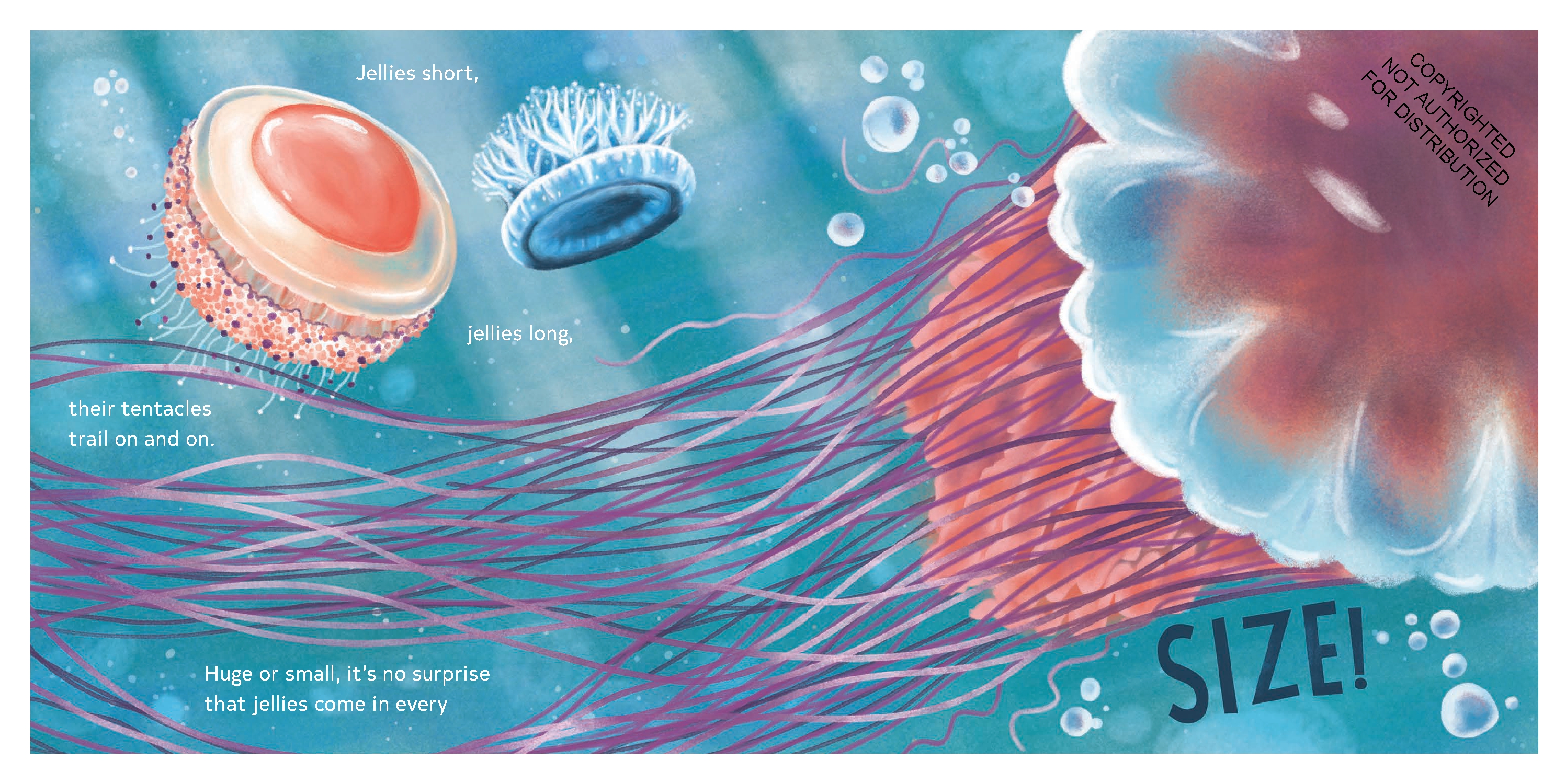 Secrets of the Jellies