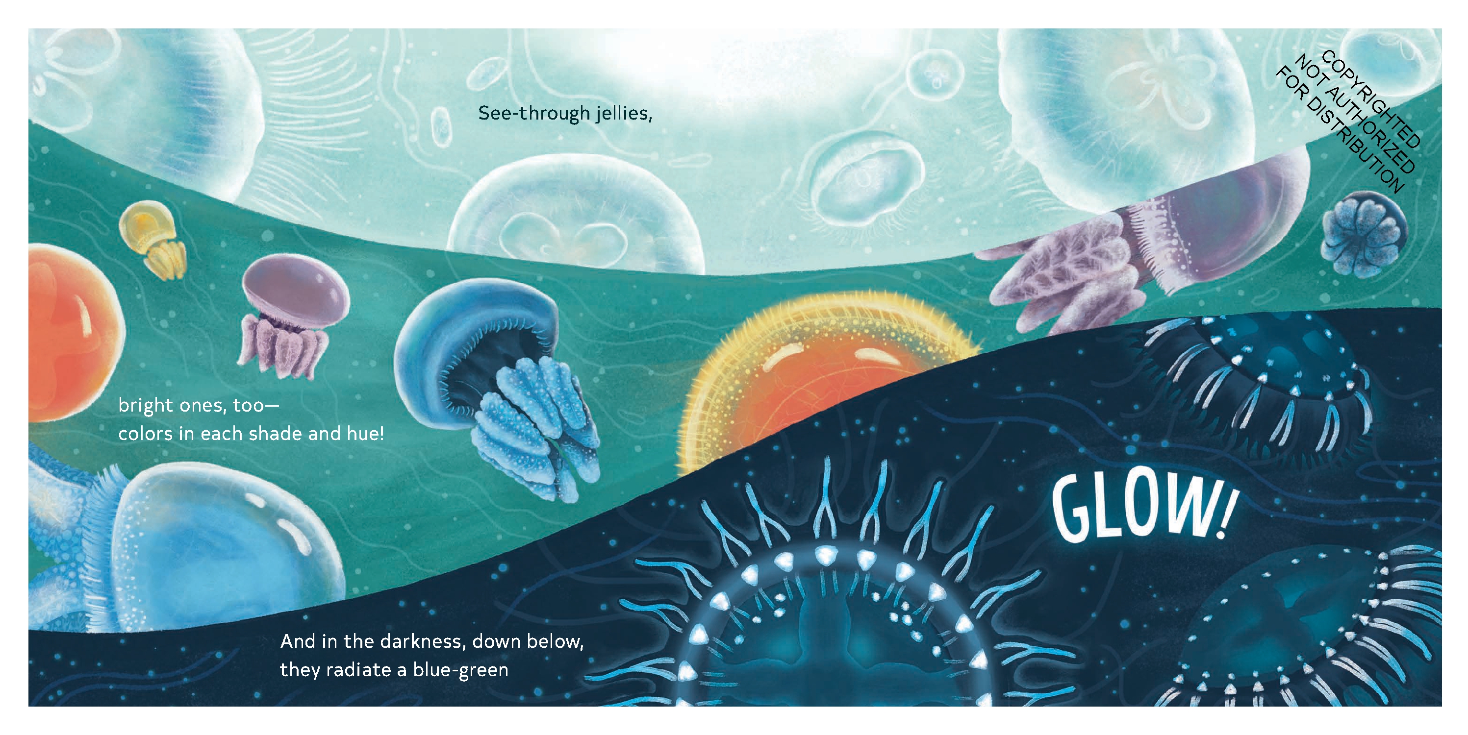 Secrets of the Jellies