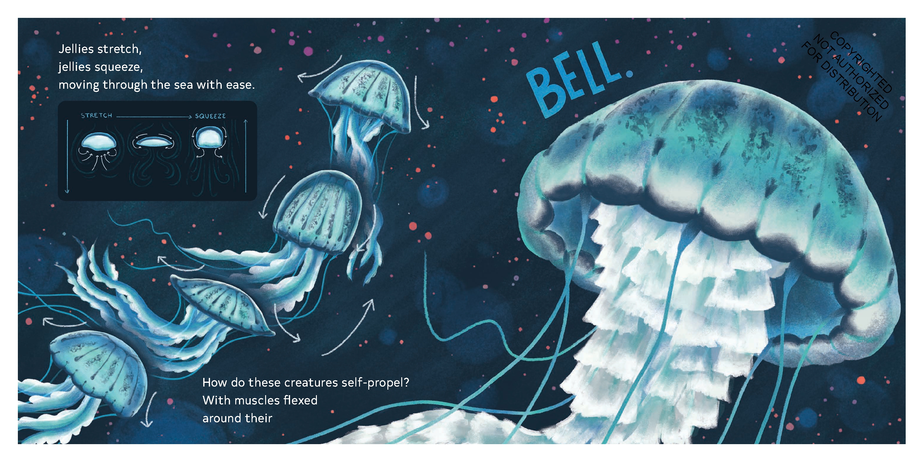 Secrets of the Jellies