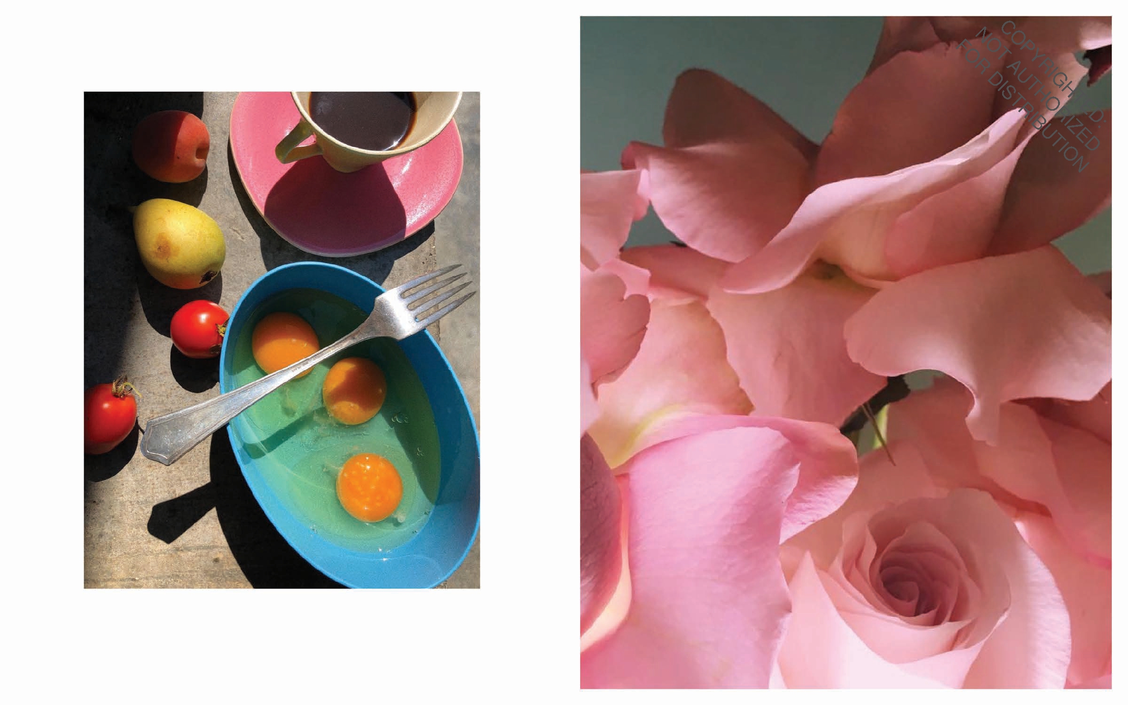 Still Life