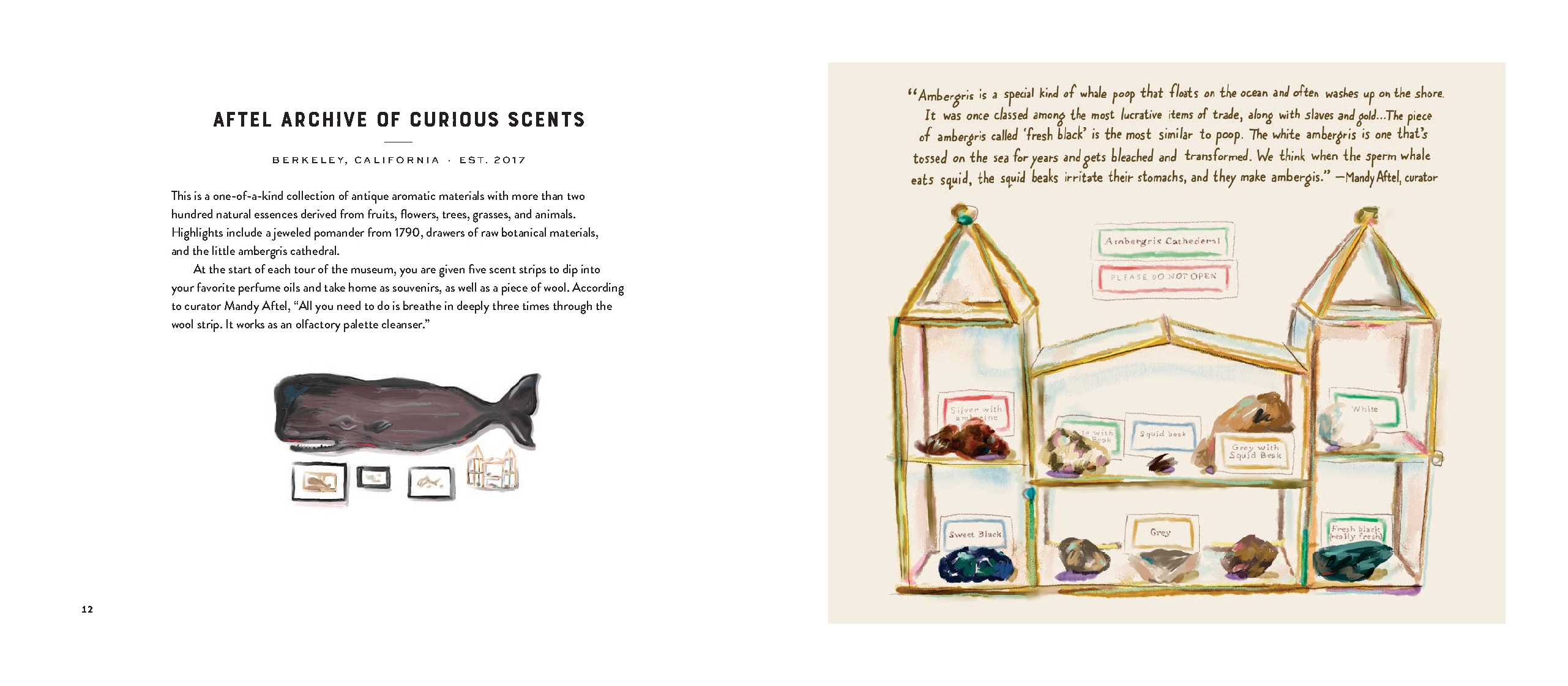 Footnotes from the Most Fascinating Museums