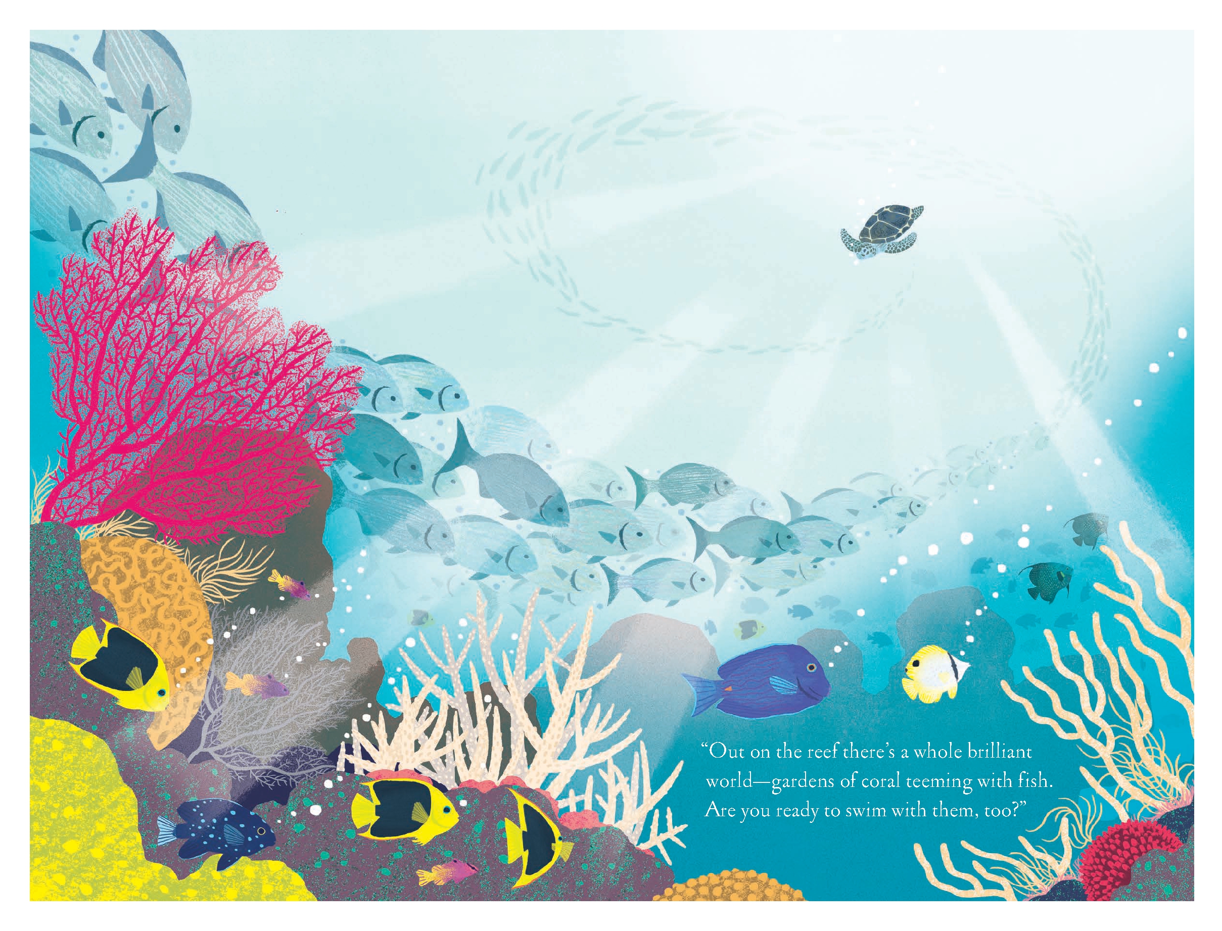 Over and Under the Coral Reef