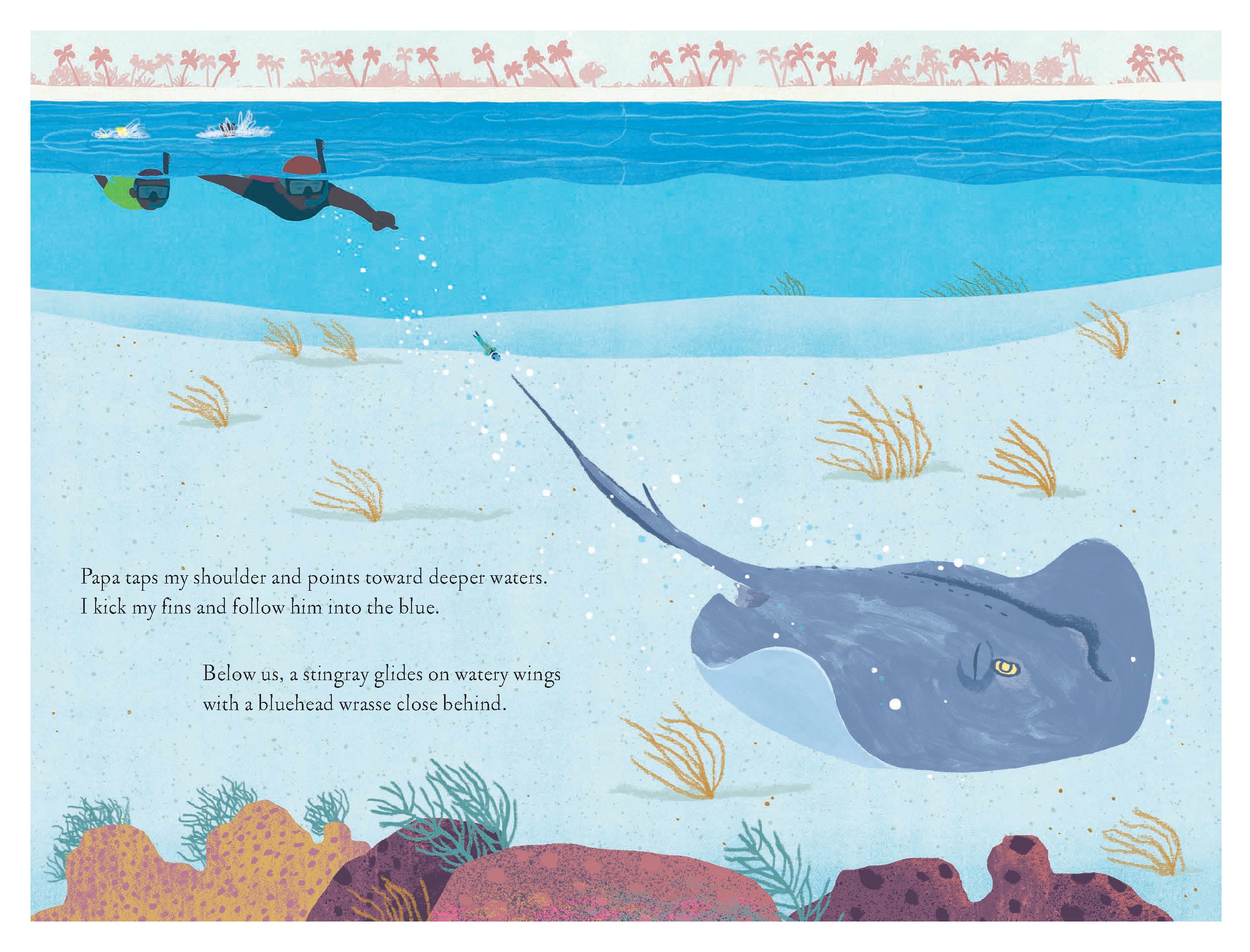 Over and Under the Coral Reef