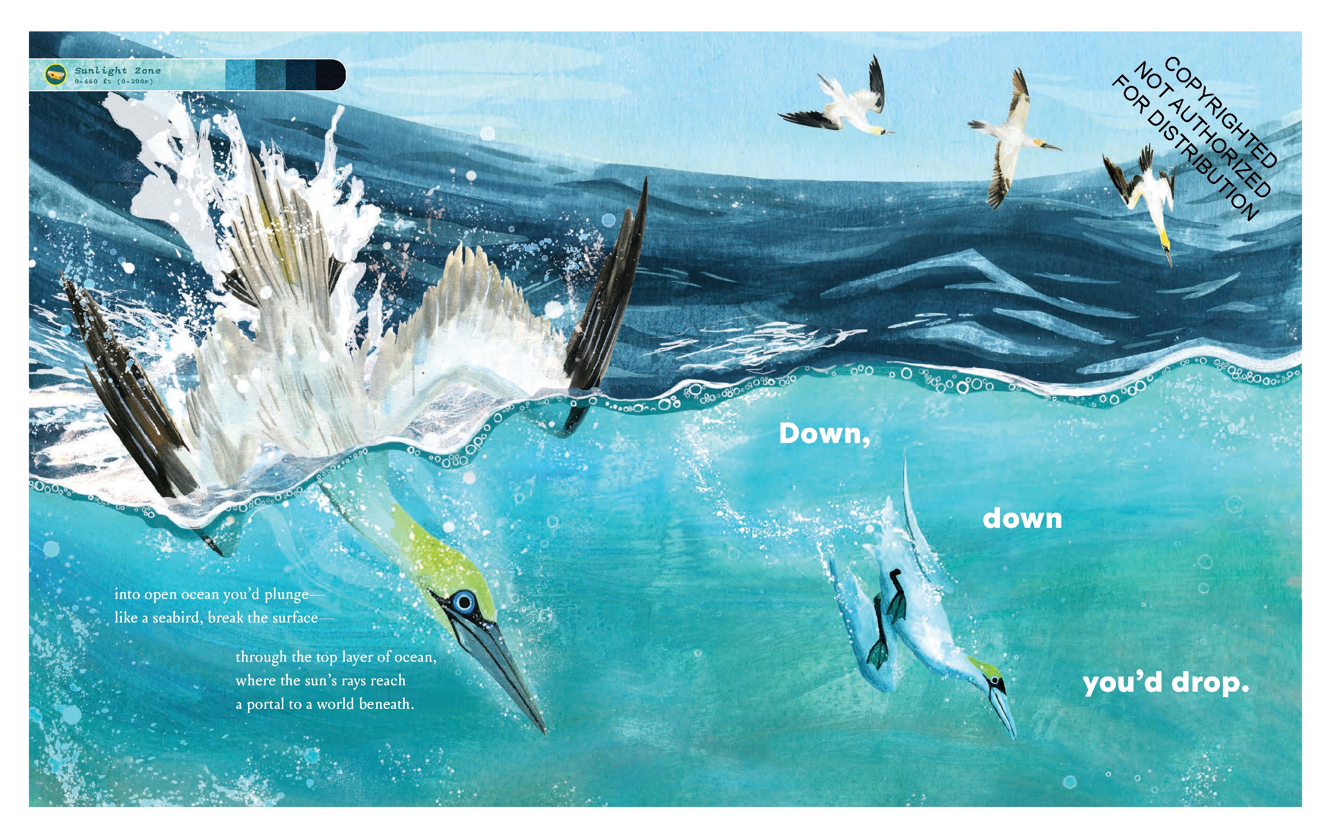 If You Went to the Bottom of the Ocean