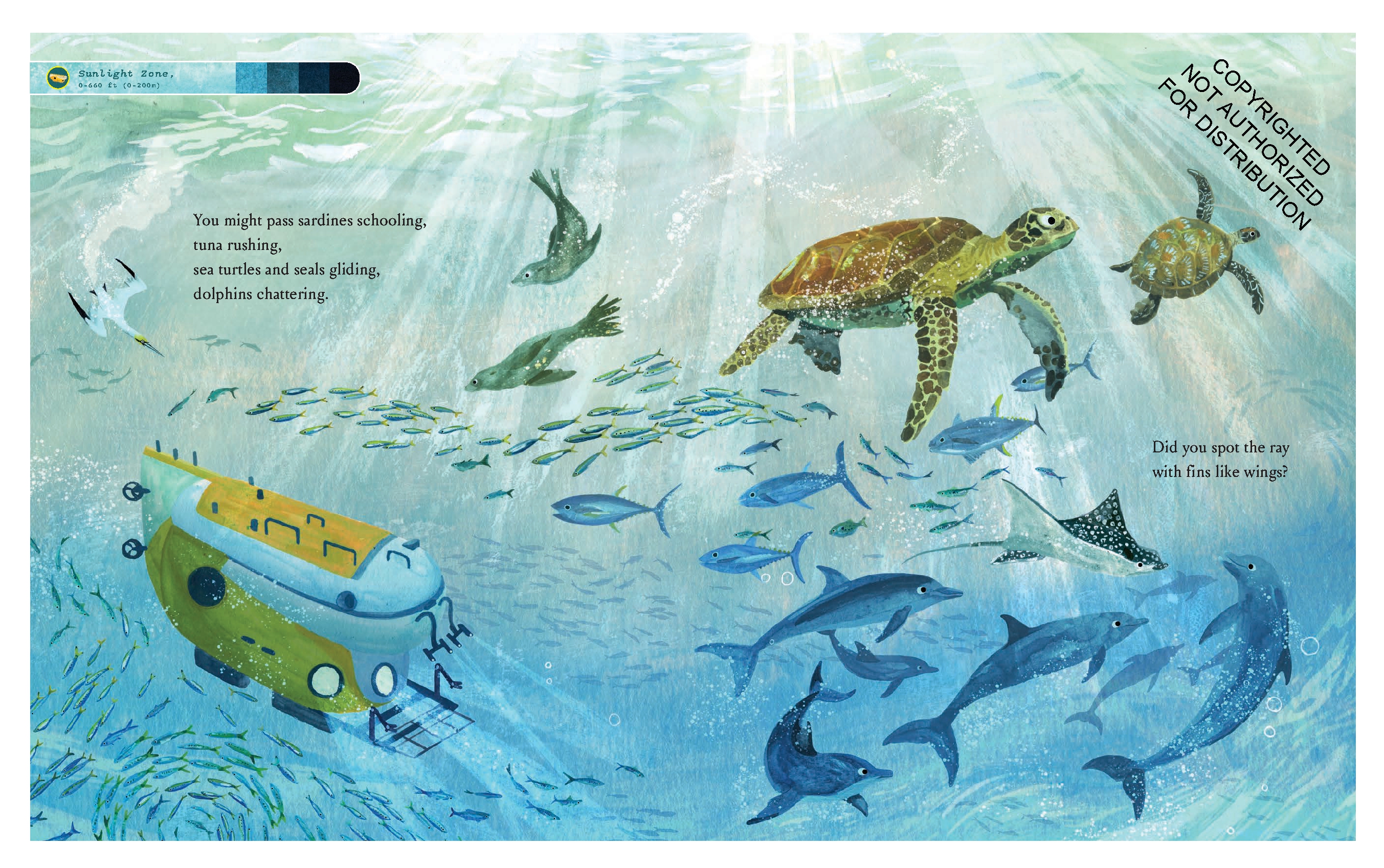 If You Went to the Bottom of the Ocean