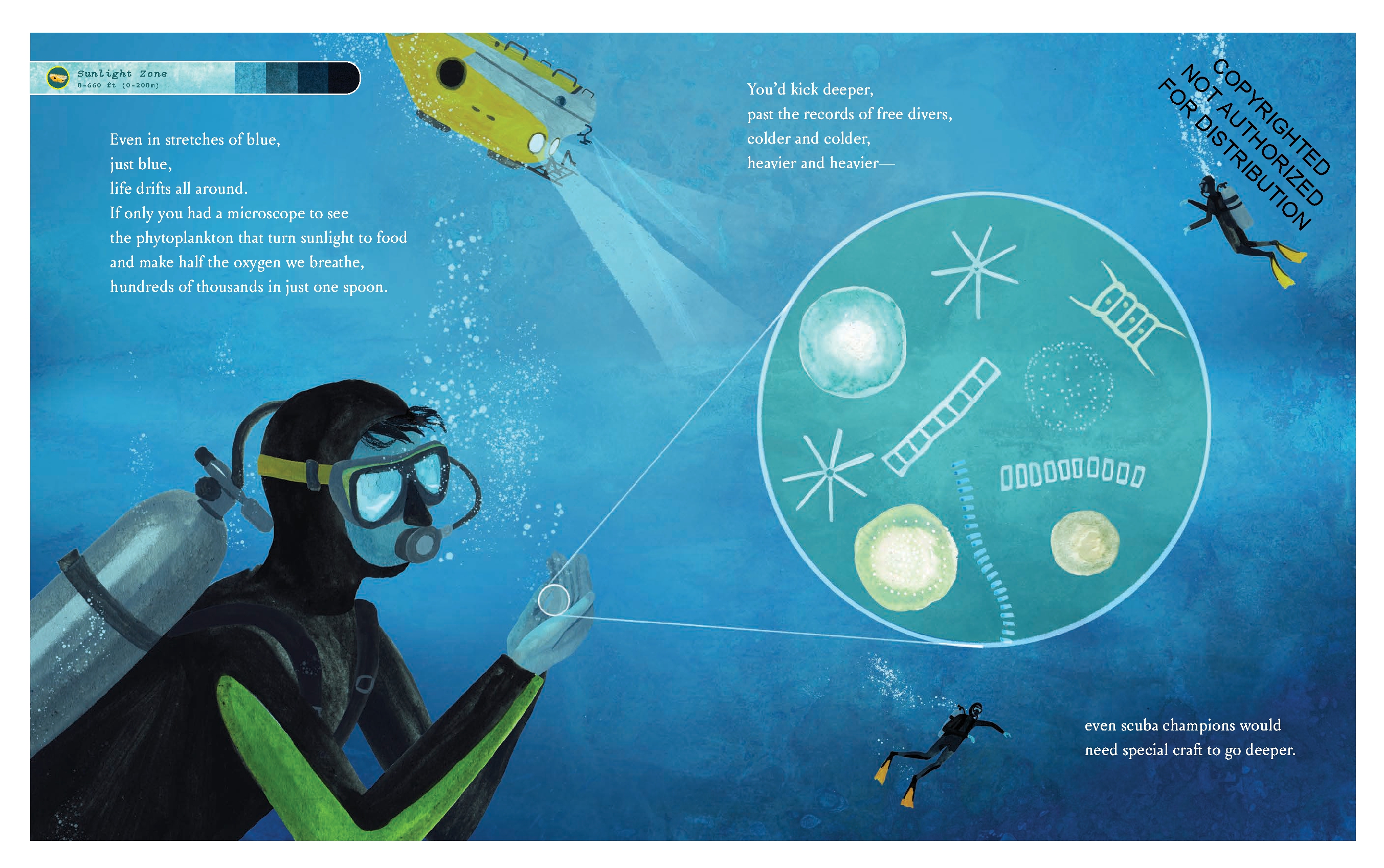 If You Went to the Bottom of the Ocean