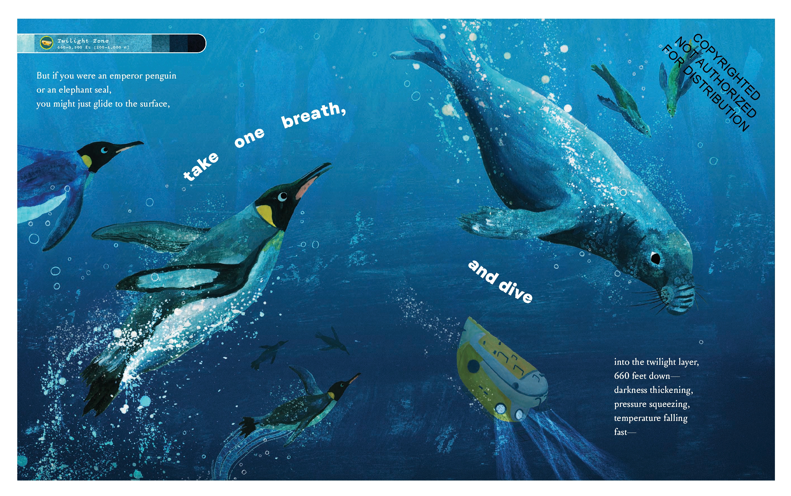 If You Went to the Bottom of the Ocean