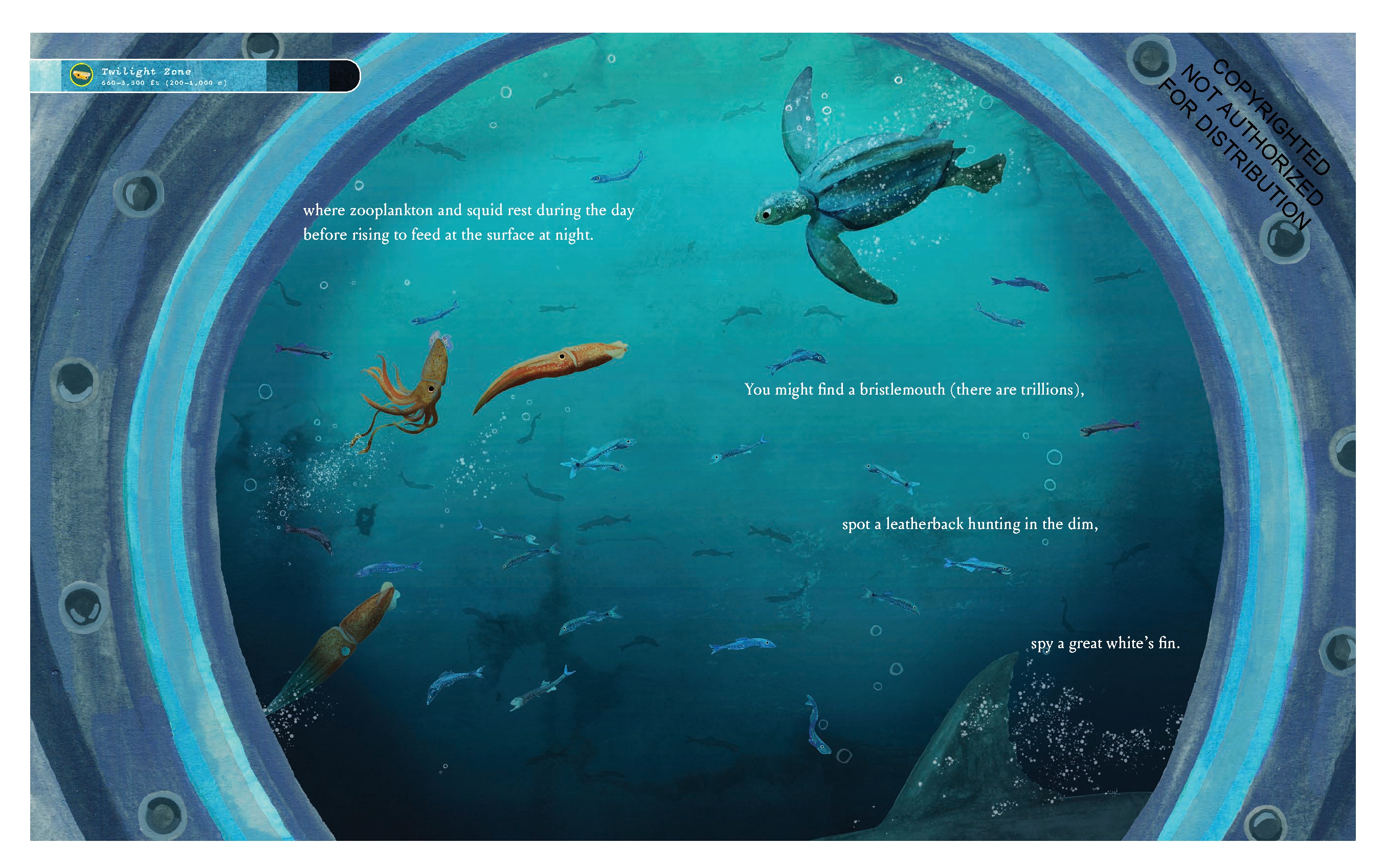 If You Went to the Bottom of the Ocean