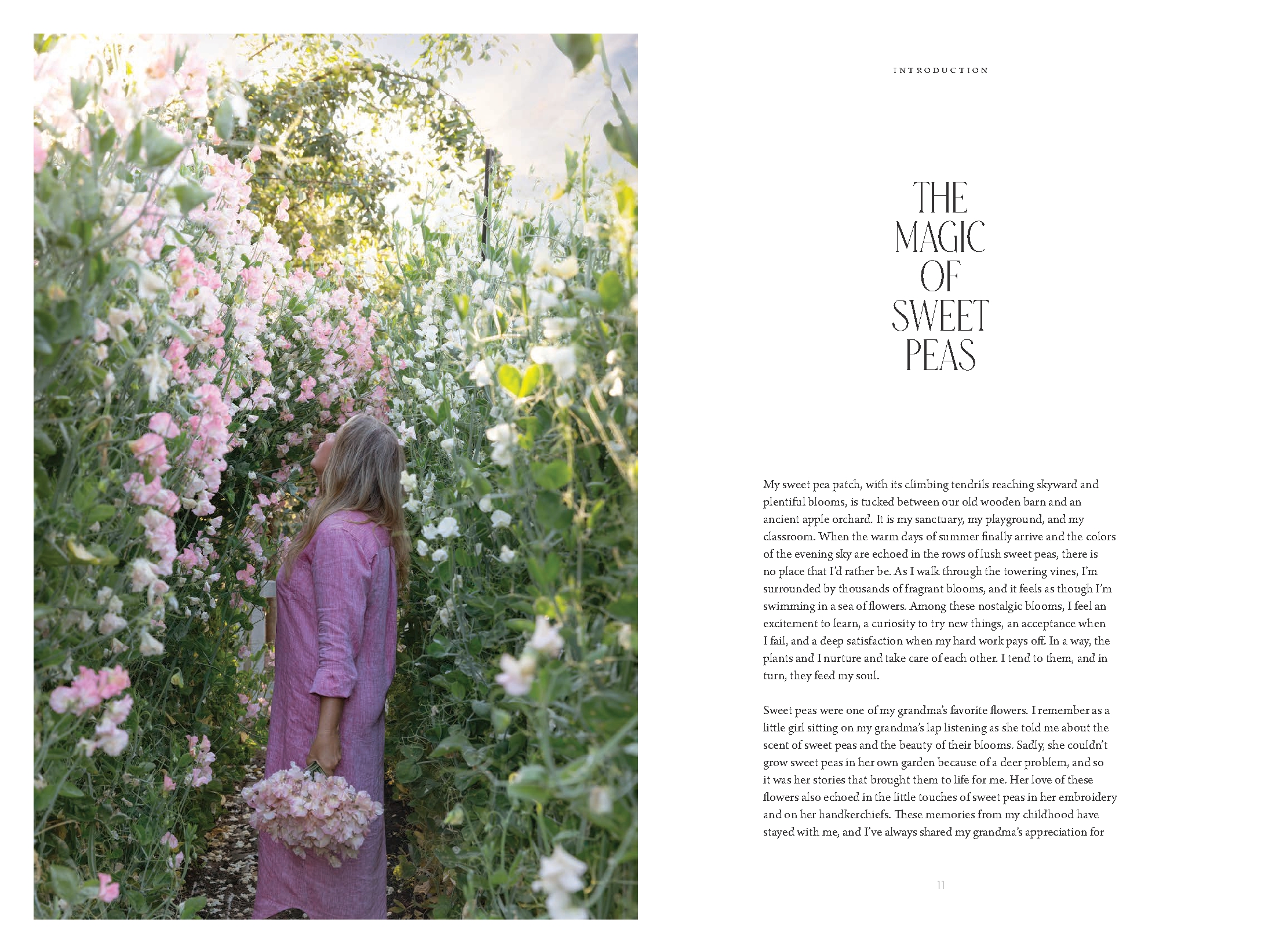 Sweet Pea School