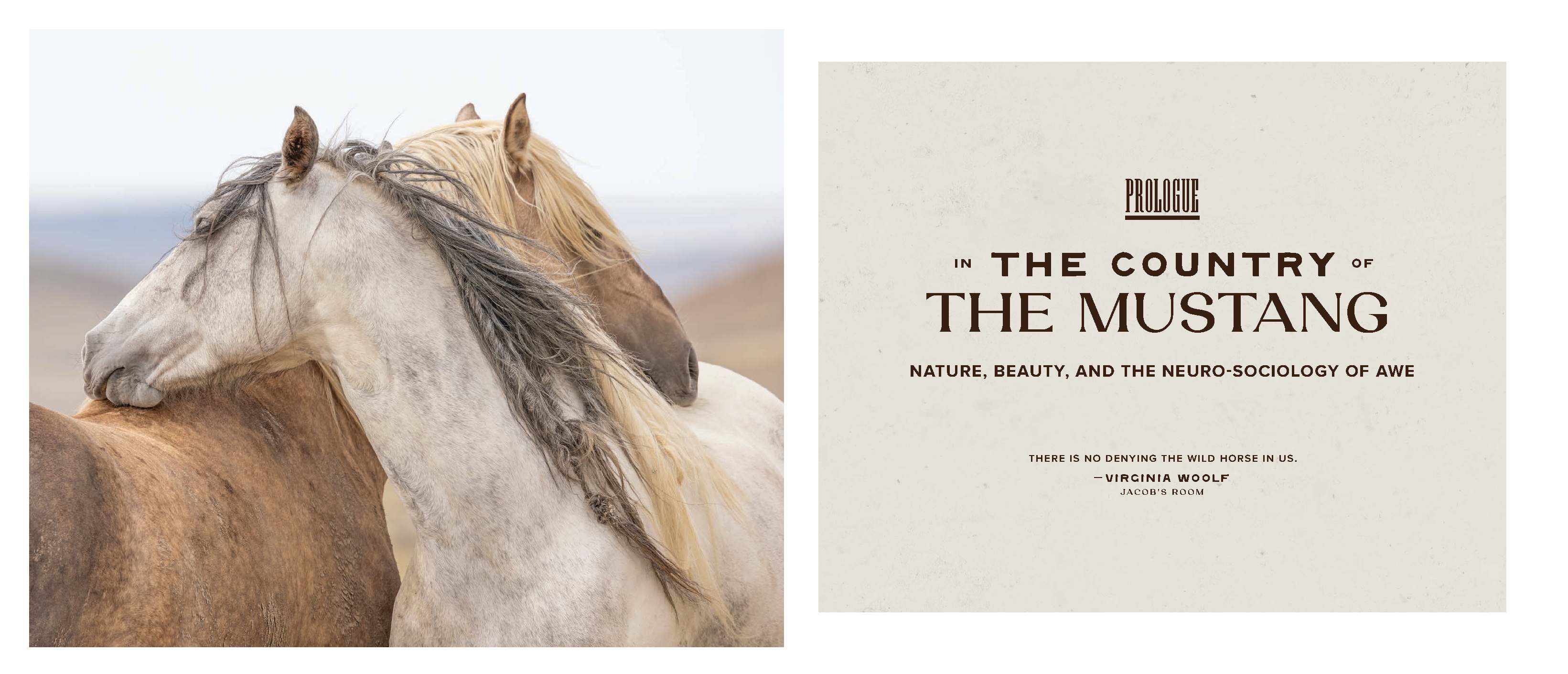 The Wild Horse Effect