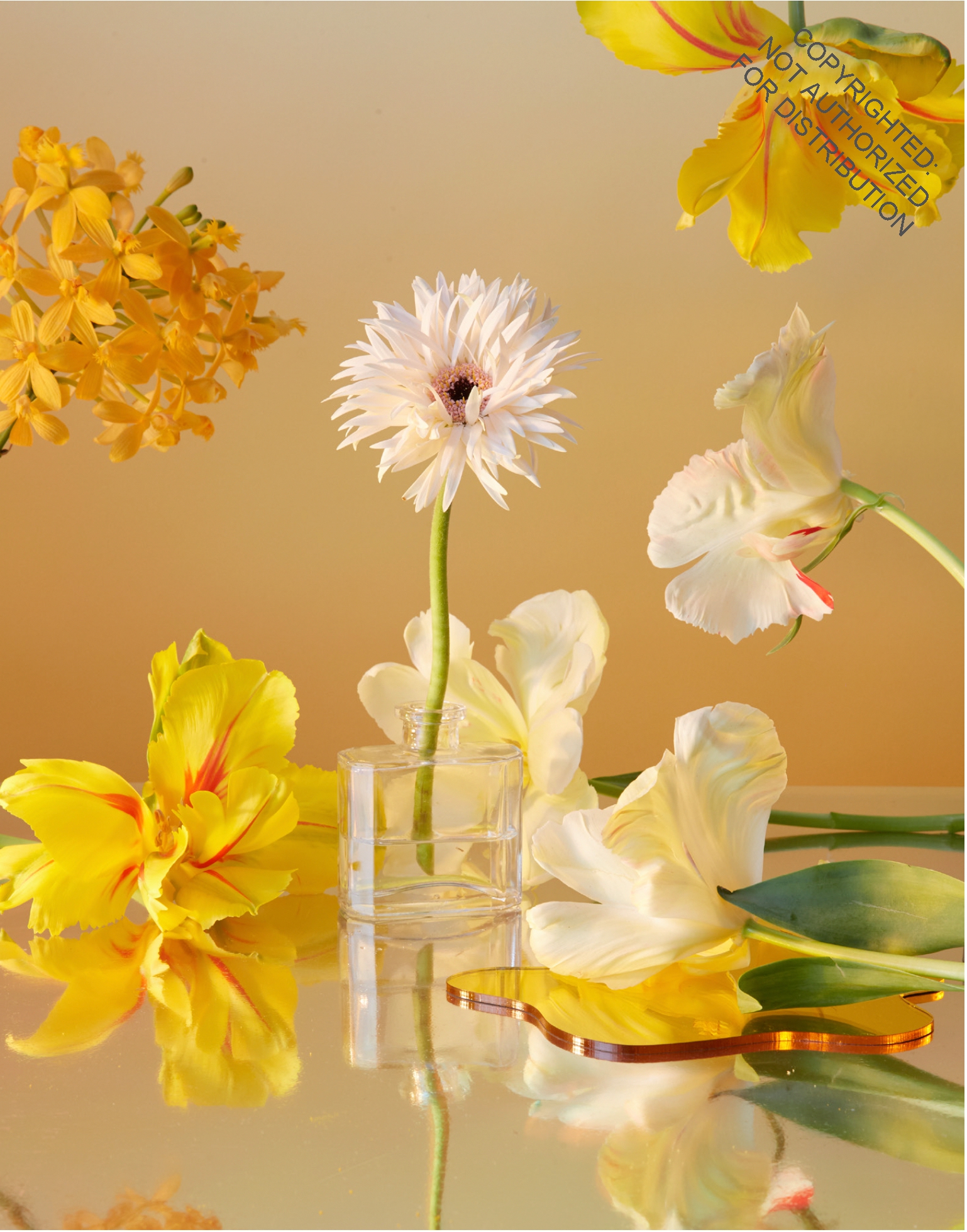 Still Life Notecards