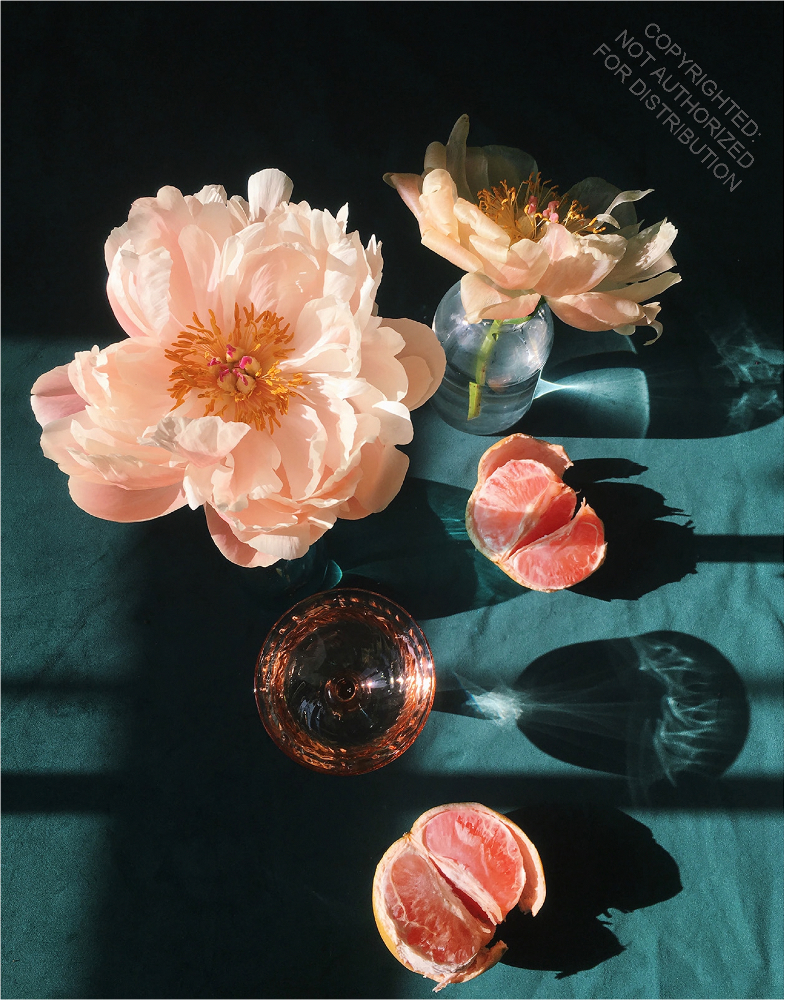 Still Life Notecards