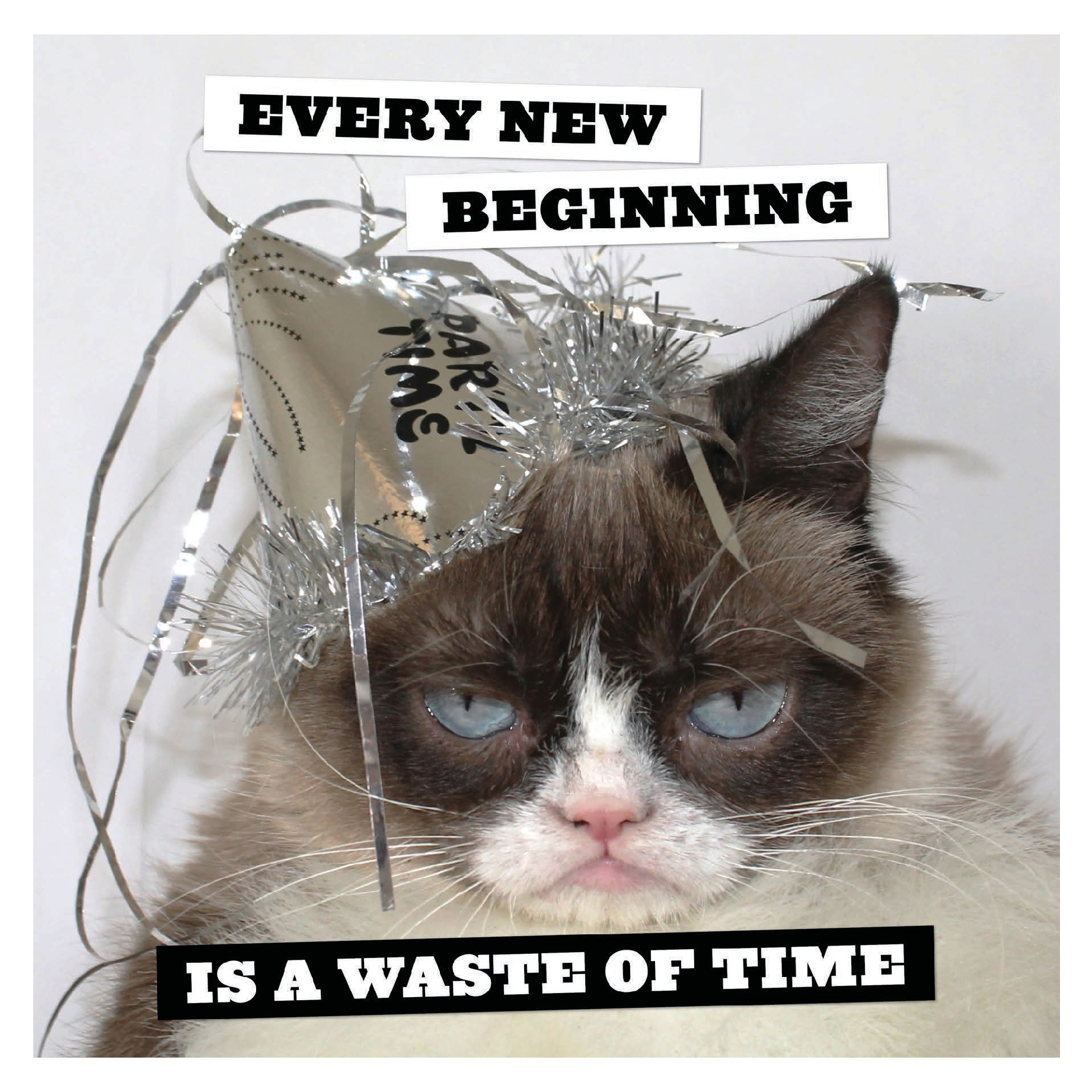 Grumpy Cat 2025 Wall Calendar