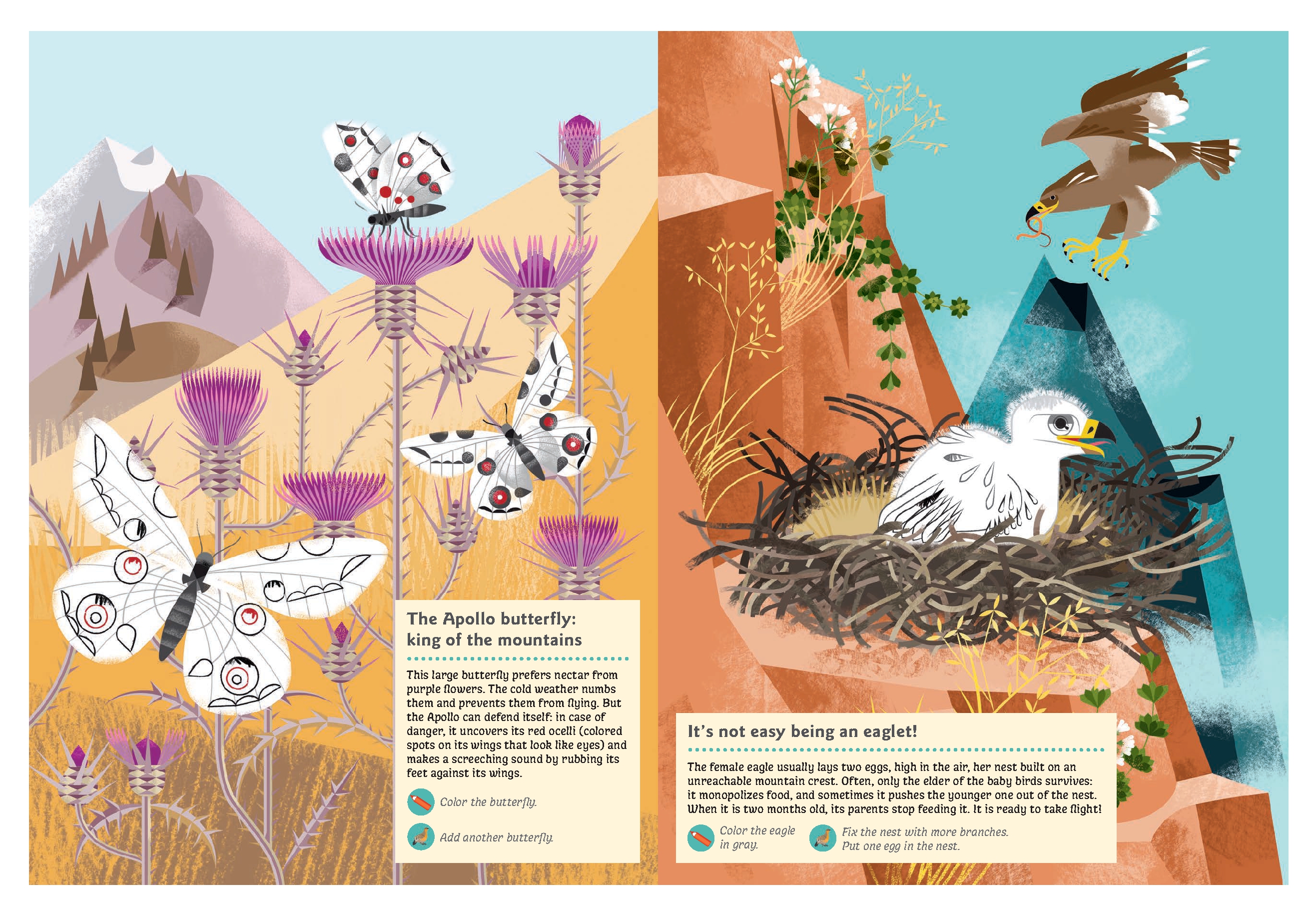 Animals of the Mountains