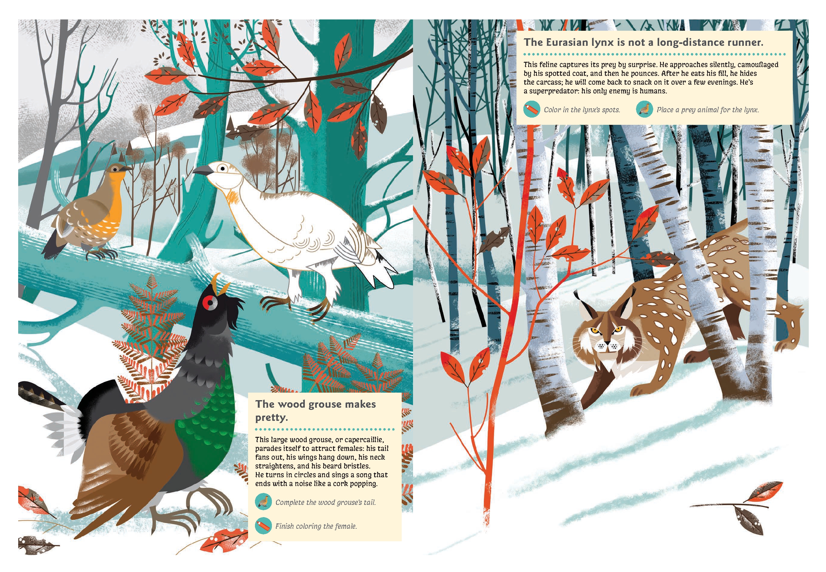 Animals of the Mountains