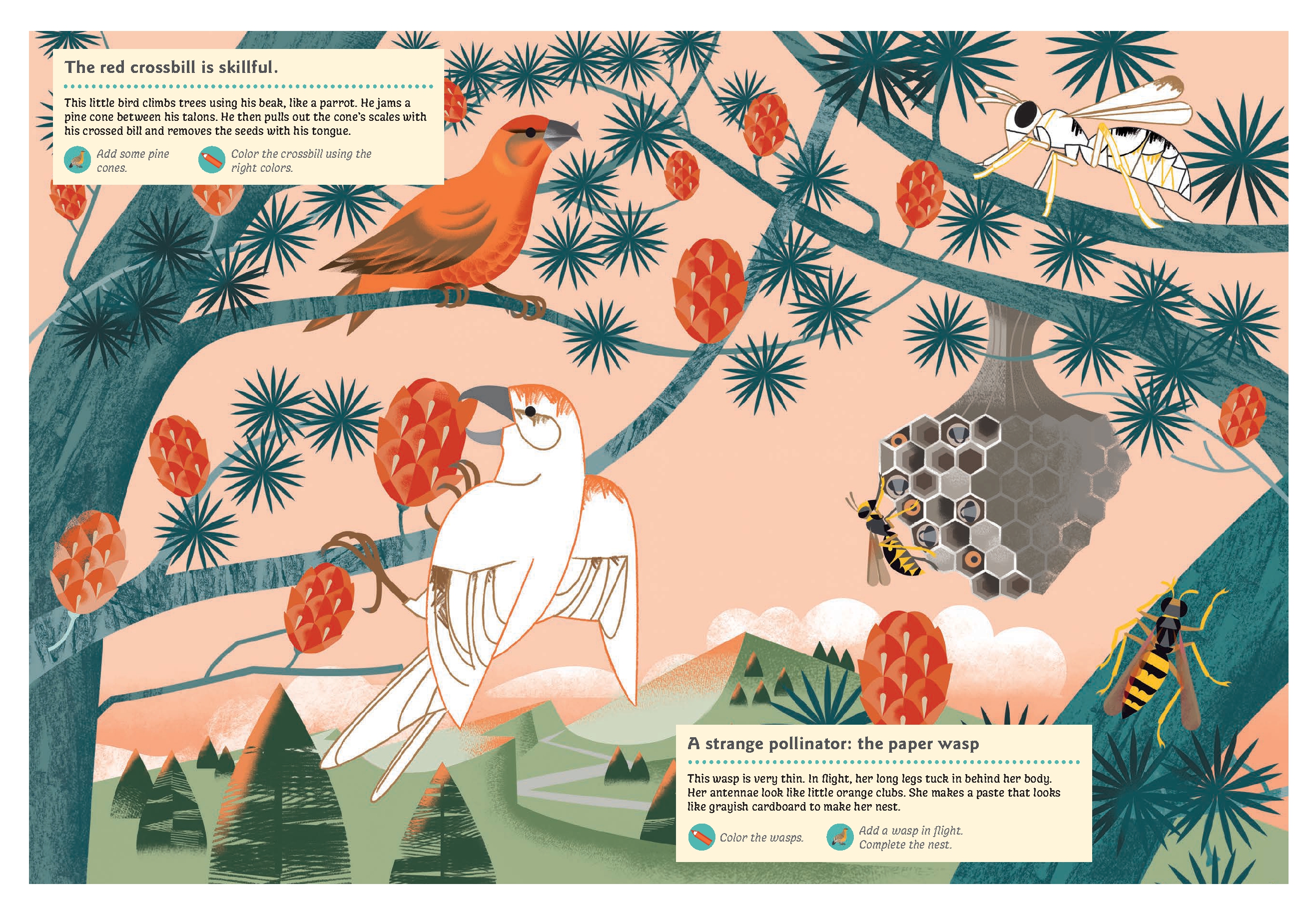 Animals of the Mountains