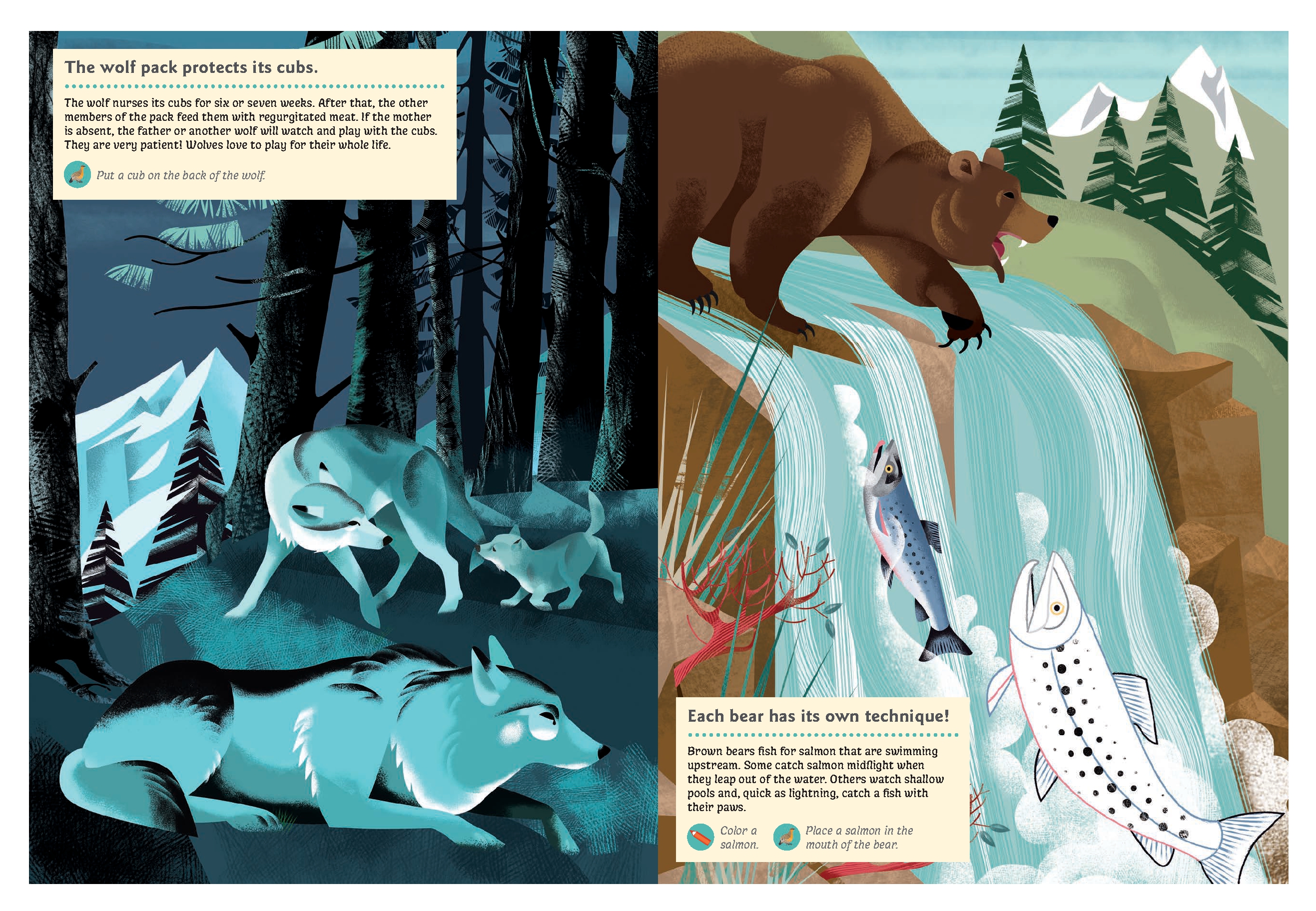 Animals of the Mountains