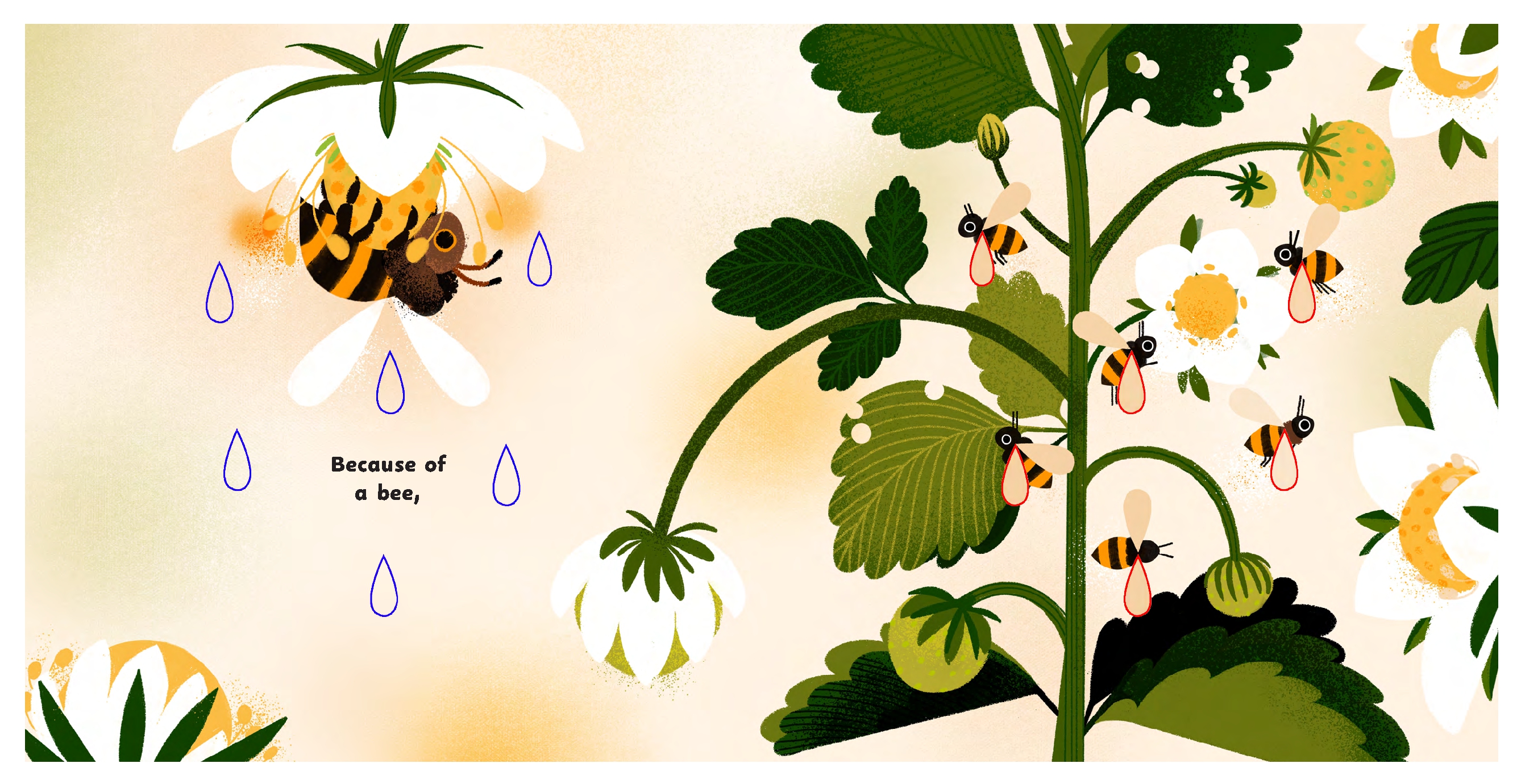 Because of a Bee