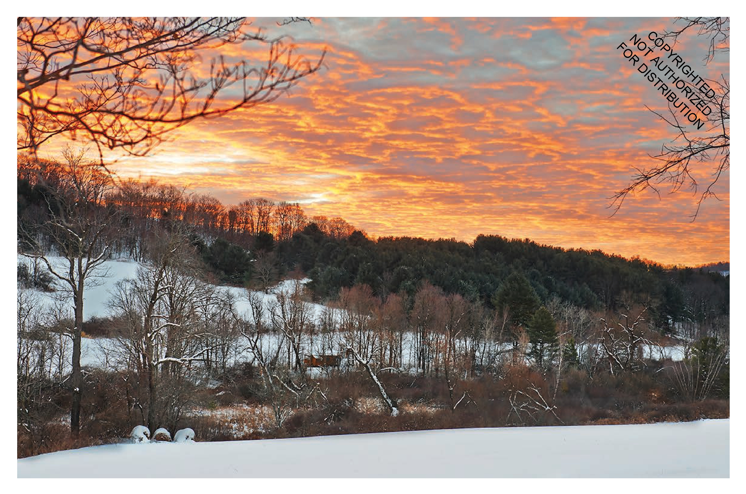 Upstate Now