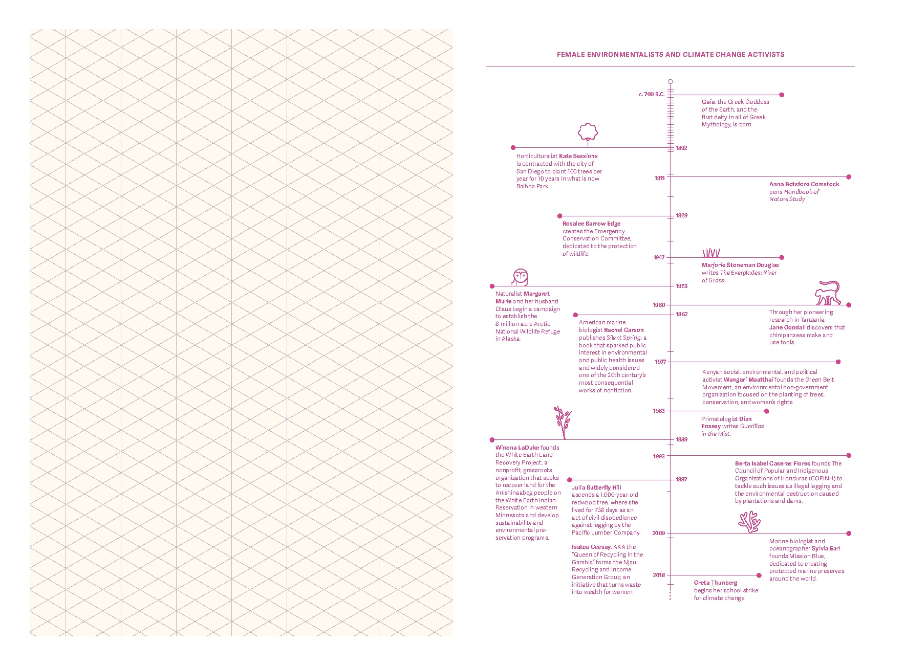 Grids & Guides (Pink)