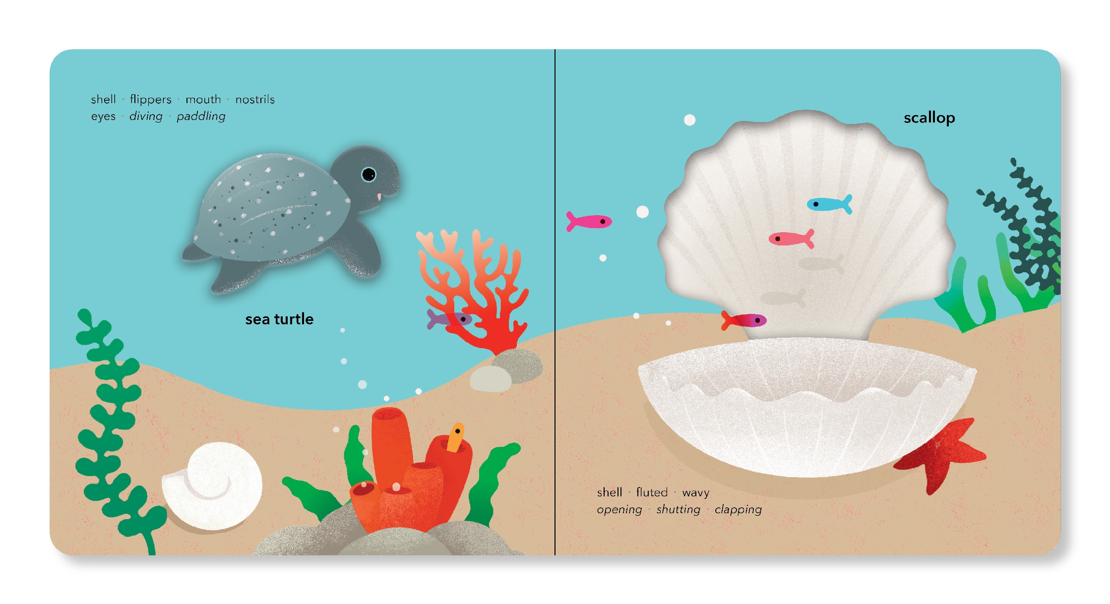 TouchThinkLearn: Underwater