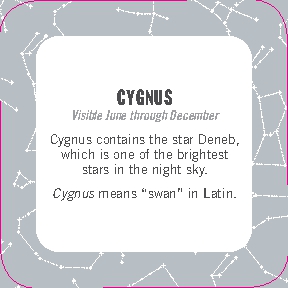 On-the-Go Amusements: 50 Constellations for Stargazing