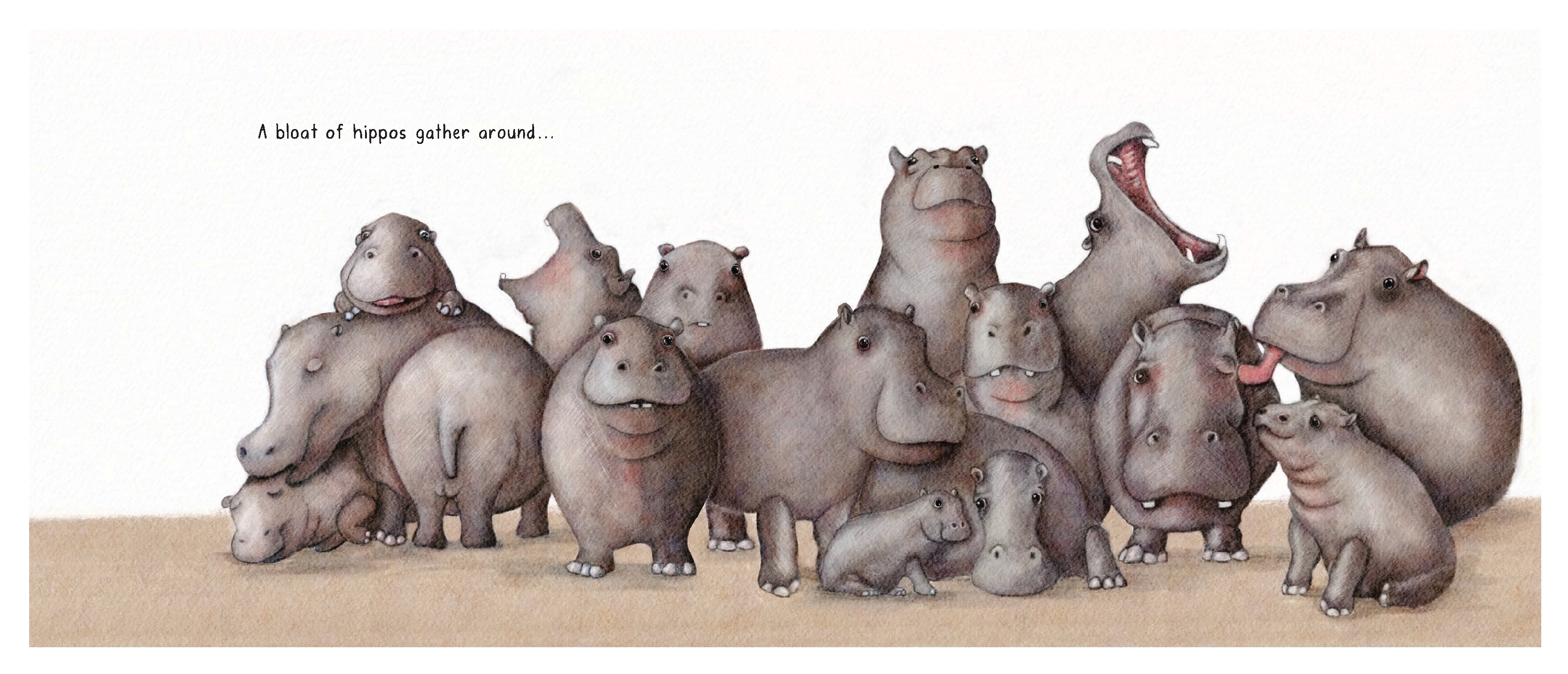 A Sleuth of Bears and Other Amusing, Beguiling, and Peculiar Collective Nouns