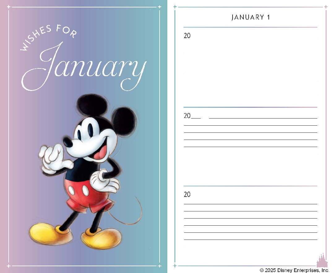 Disney One Wish a Day