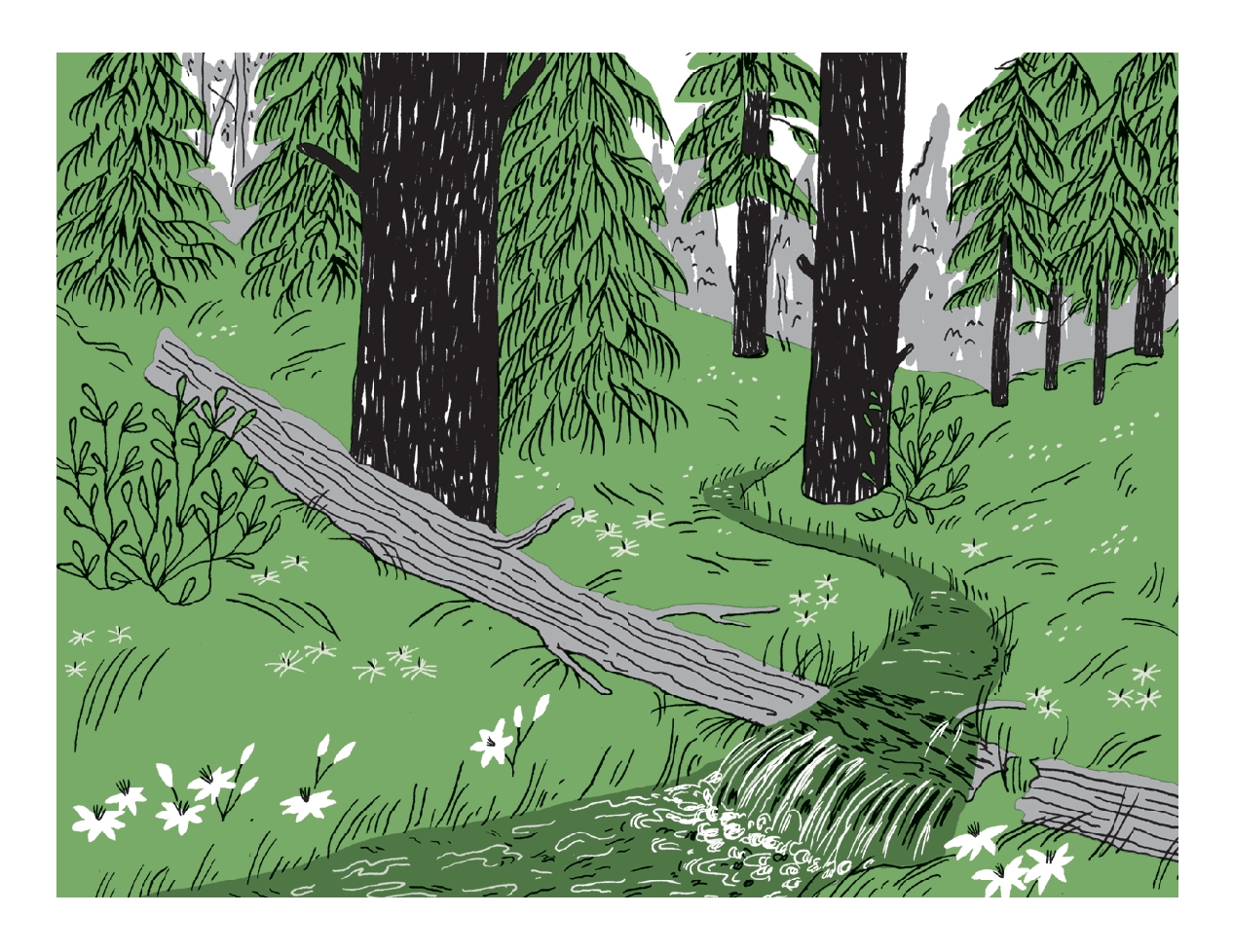 Pocket Nature: Tree Hugging