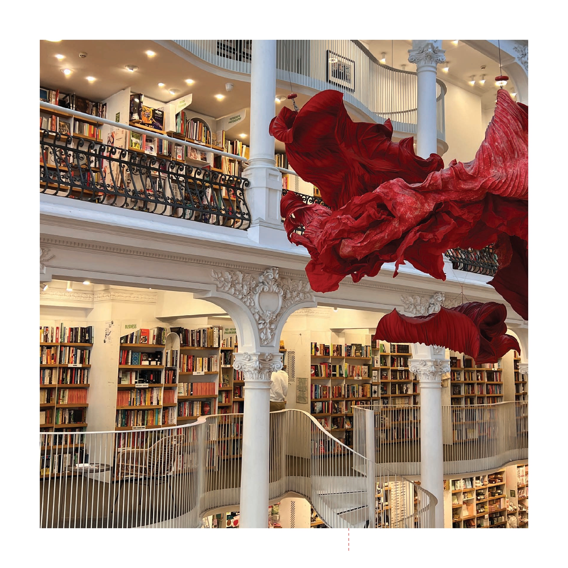 This Is My Bookstore 2026 Wall Calendar