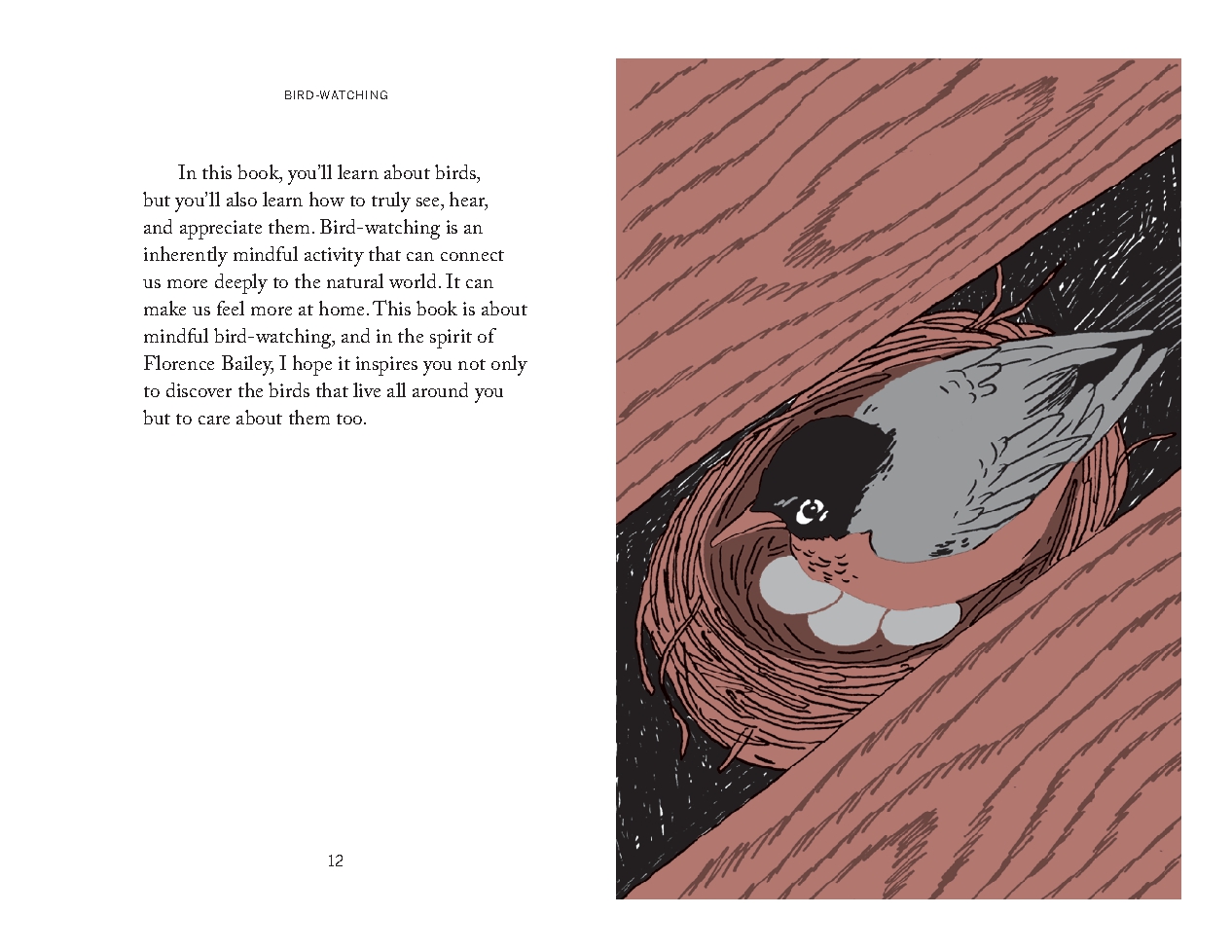 Pocket Nature: Bird-Watching
