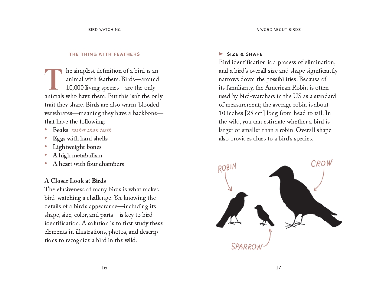 Pocket Nature: Bird-Watching