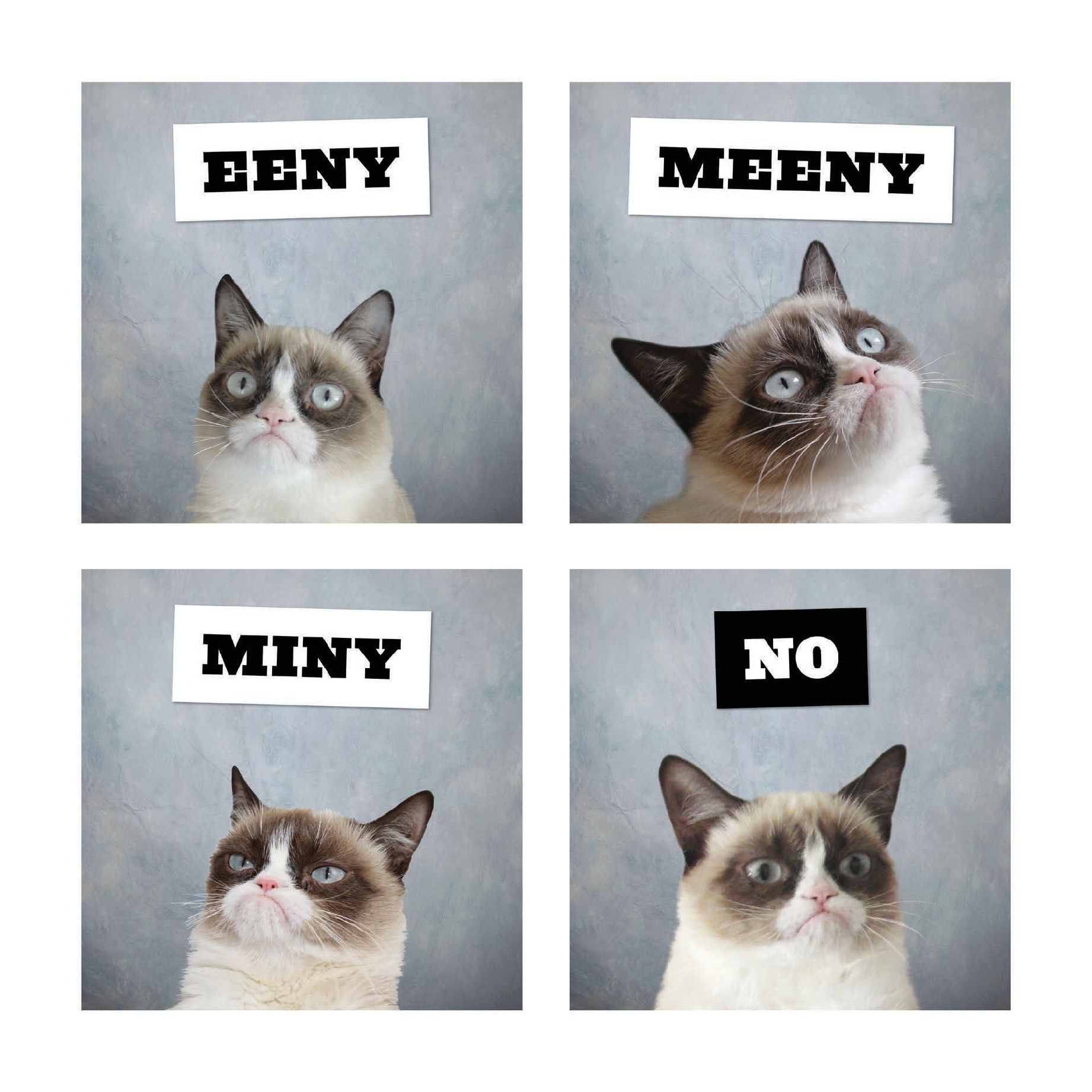 Grumpy Cat 2026 Wall Calendar