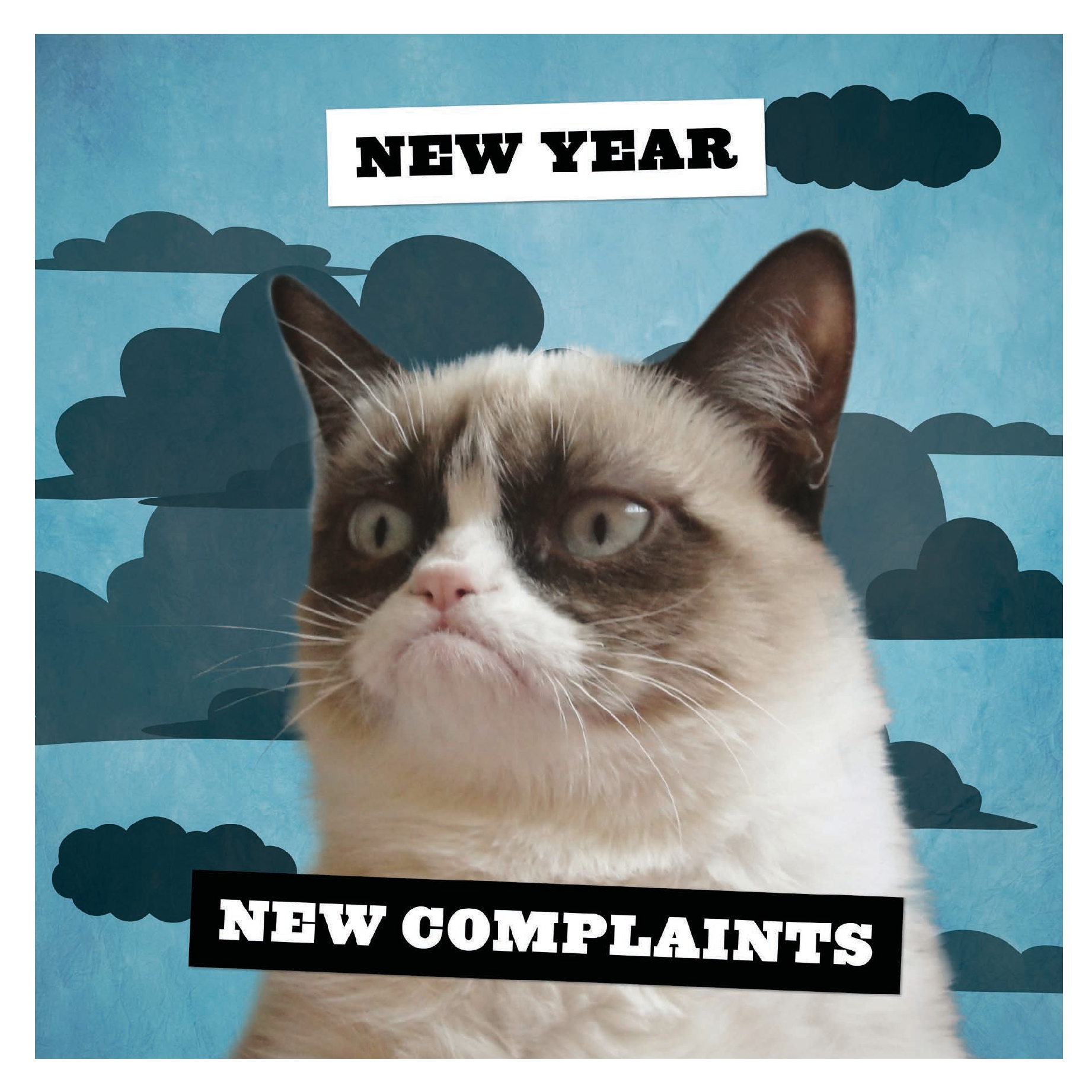 Grumpy Cat 2026 Wall Calendar