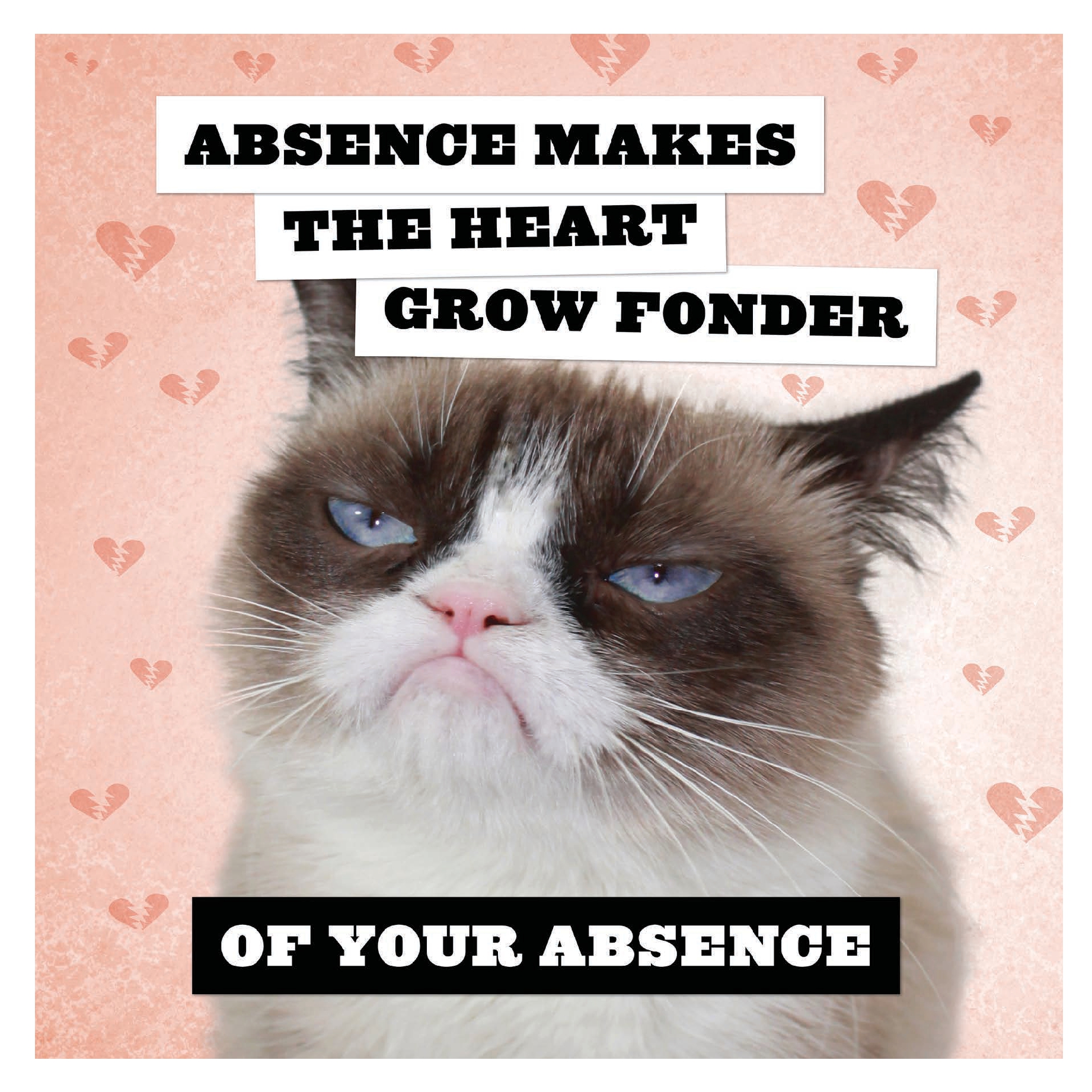Grumpy Cat 2026 Wall Calendar