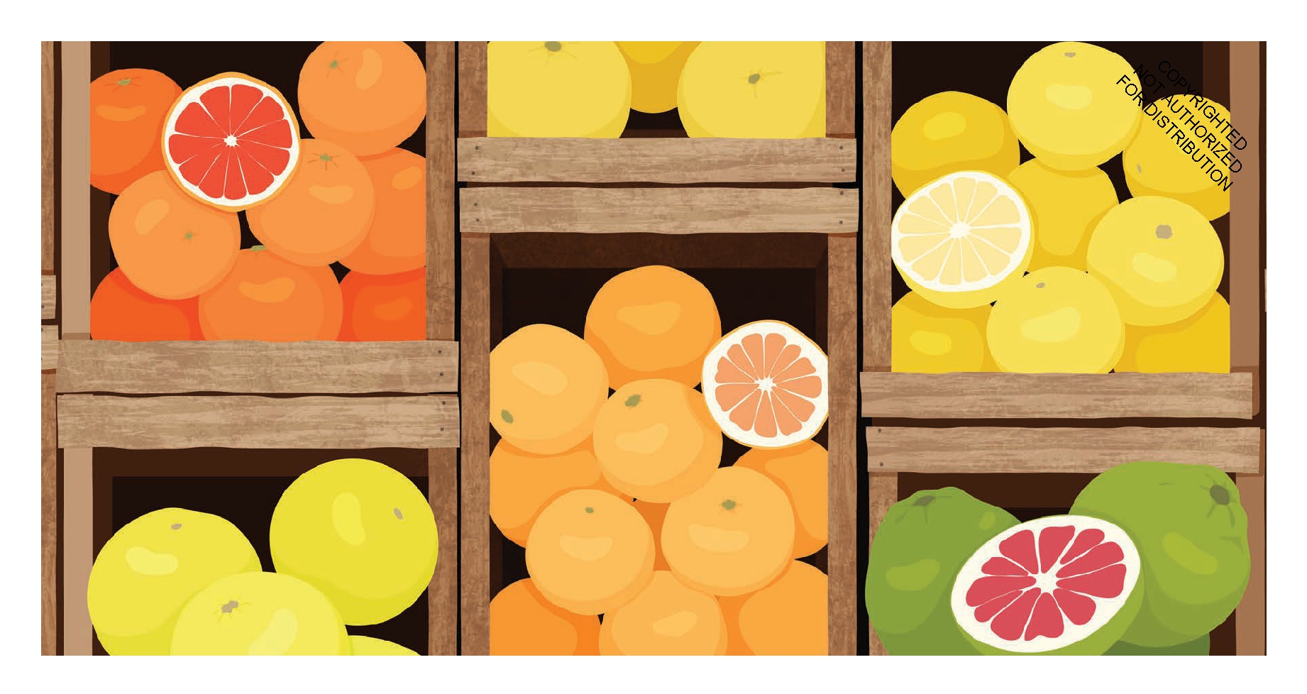 Citrus, Illustrated