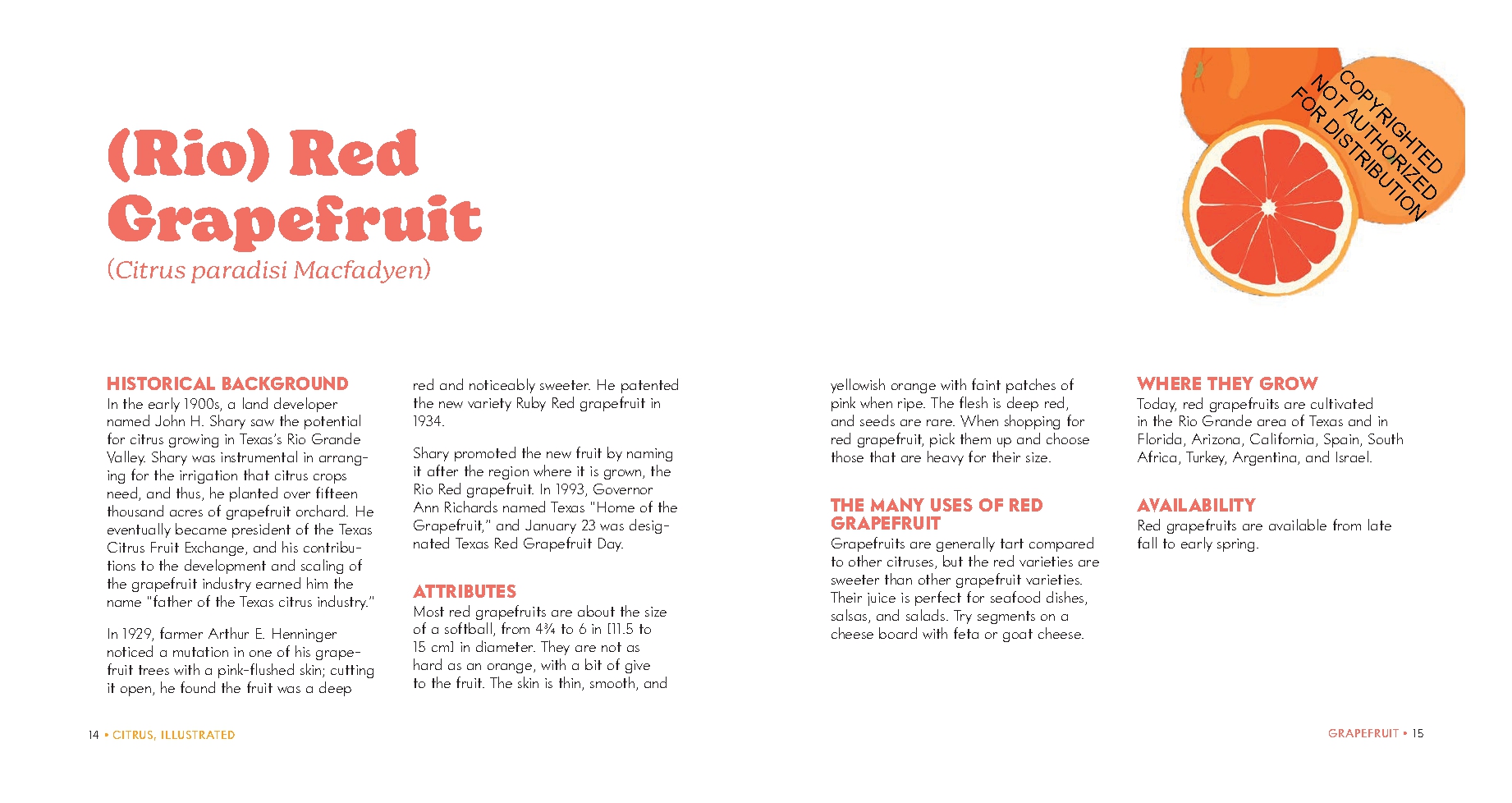 Citrus, Illustrated